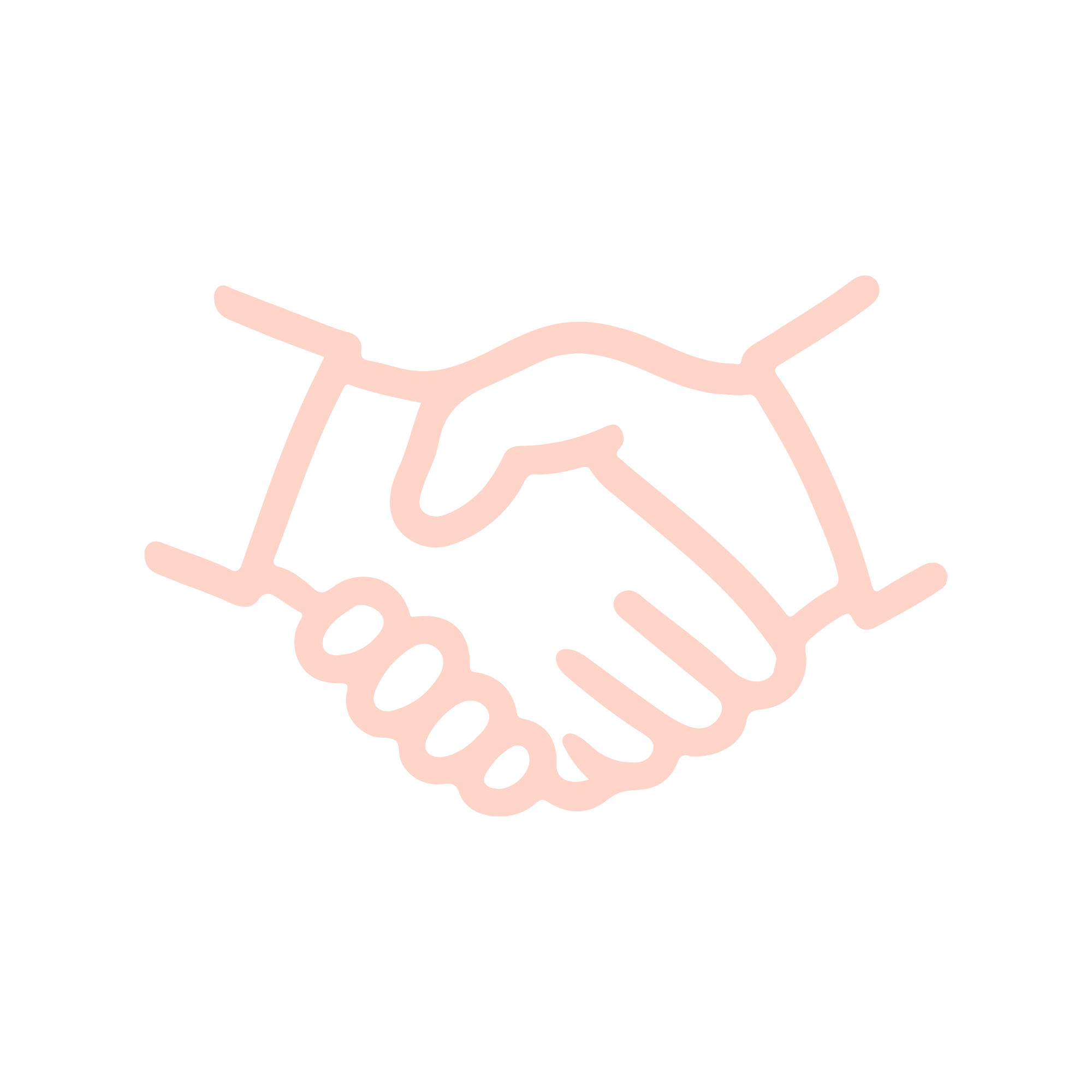 Icon representing transparent pricing and client partnerships with Allyssa DelPiano