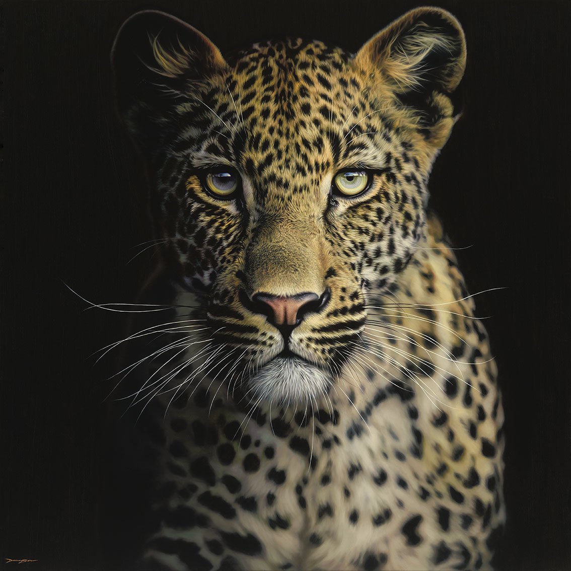 The Watcher | 120 x 120cm