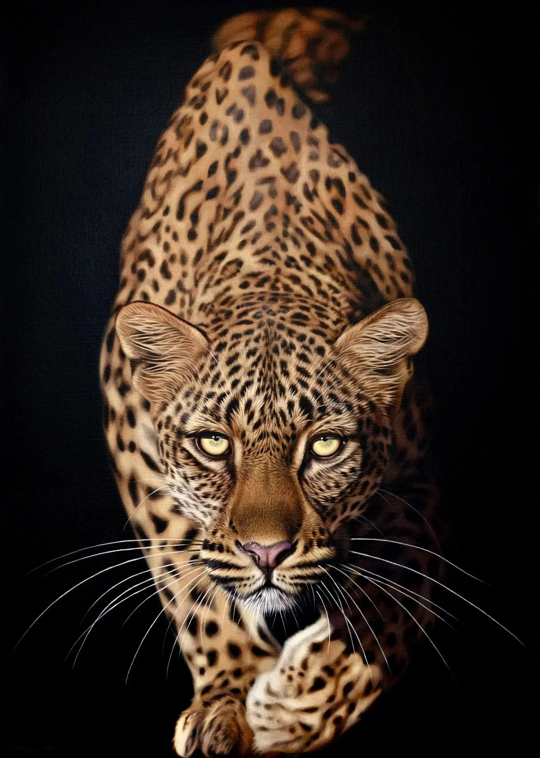 Eyes on the Prize | 70 x 50cm