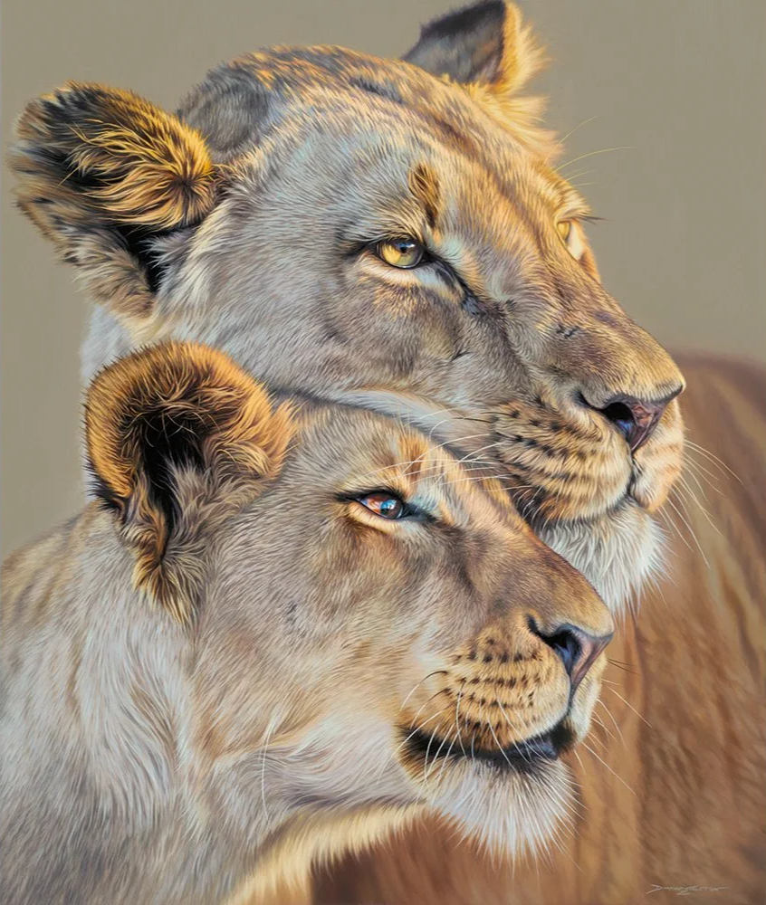 Tough & Tender | 65 x 55cm