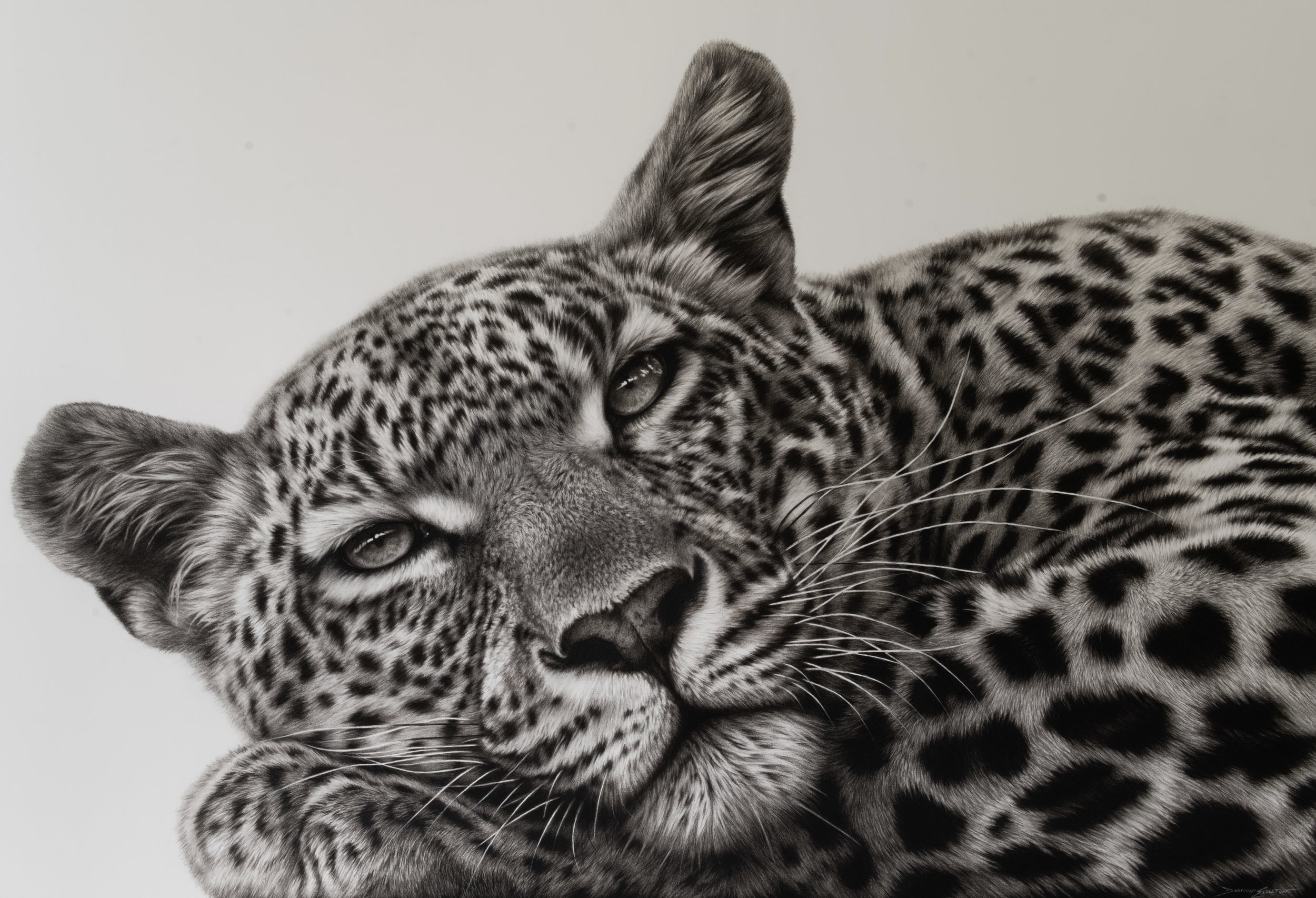 Just Chilling | 76 x 112cm