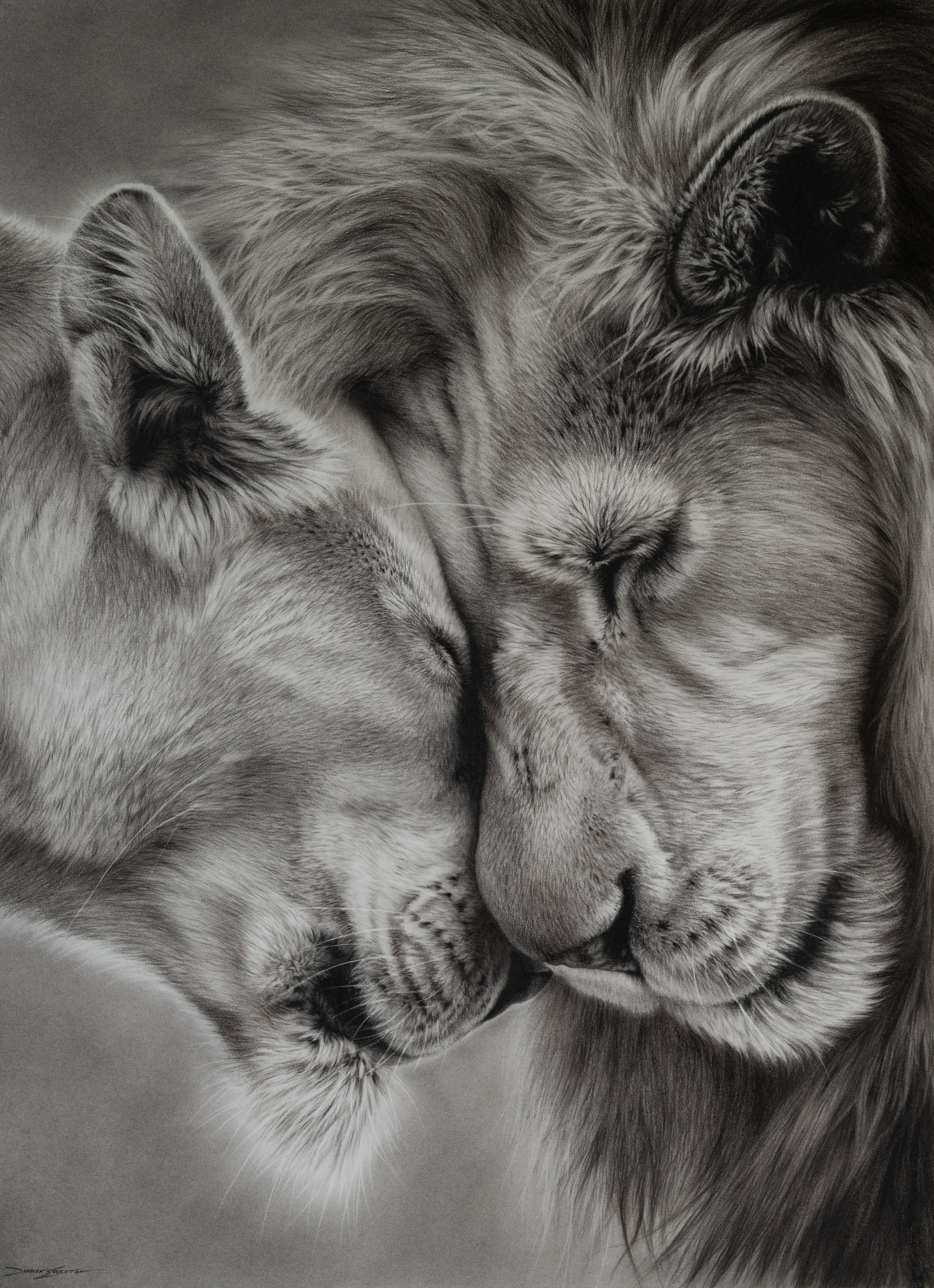 Drawn Together |             76 x 56cm