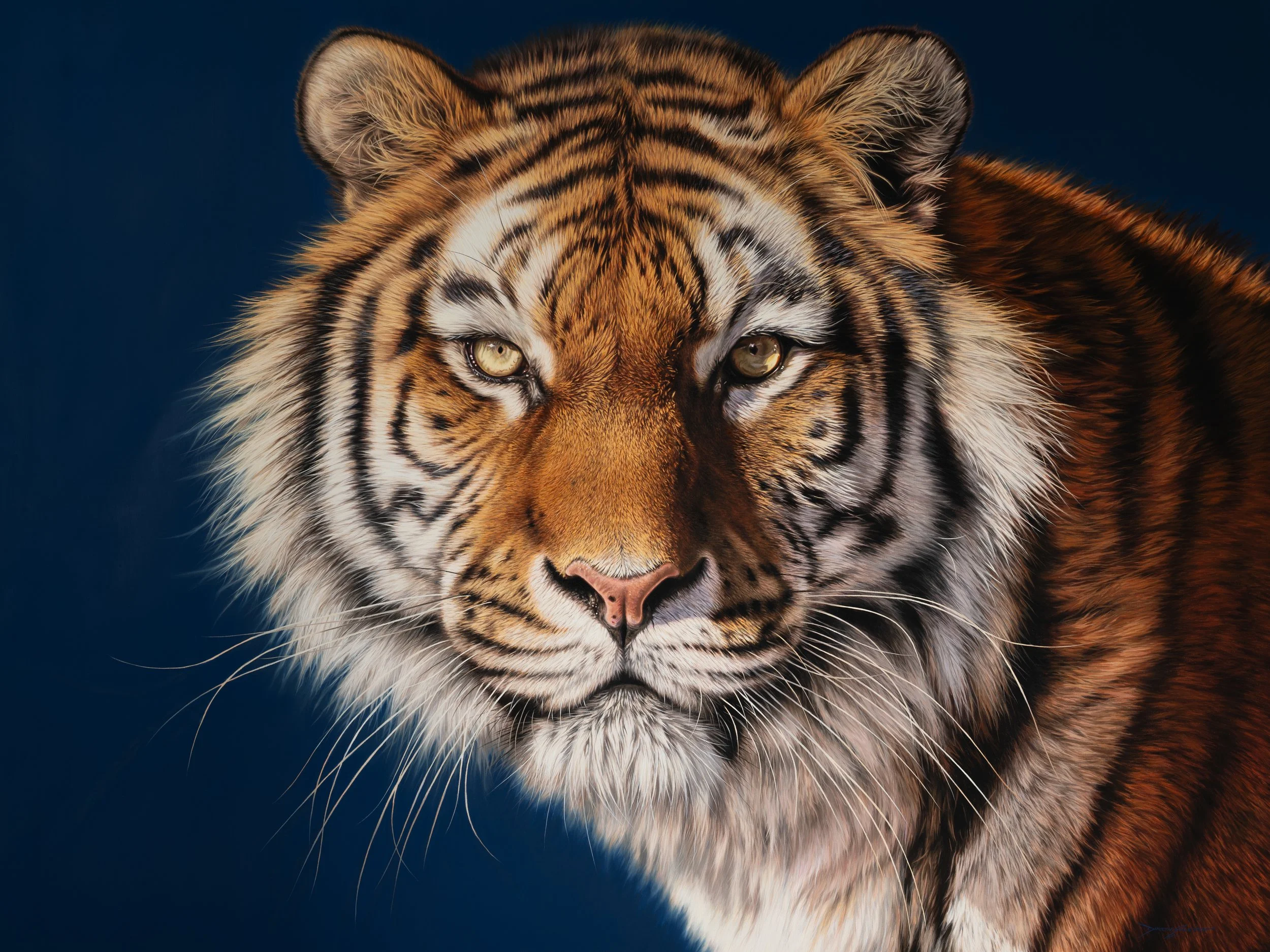 Calm Power | 150 x 200cm