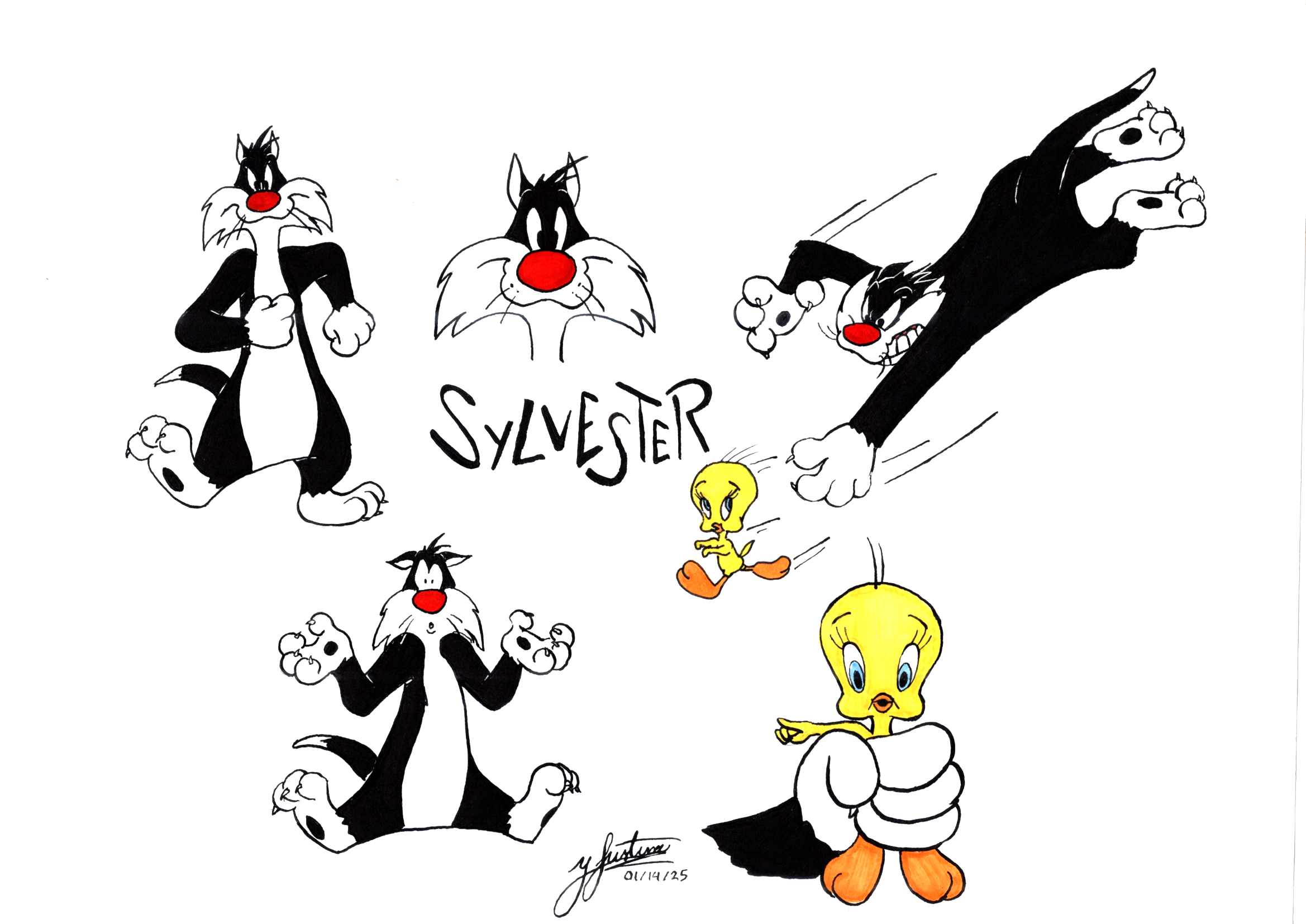 sylvester.png