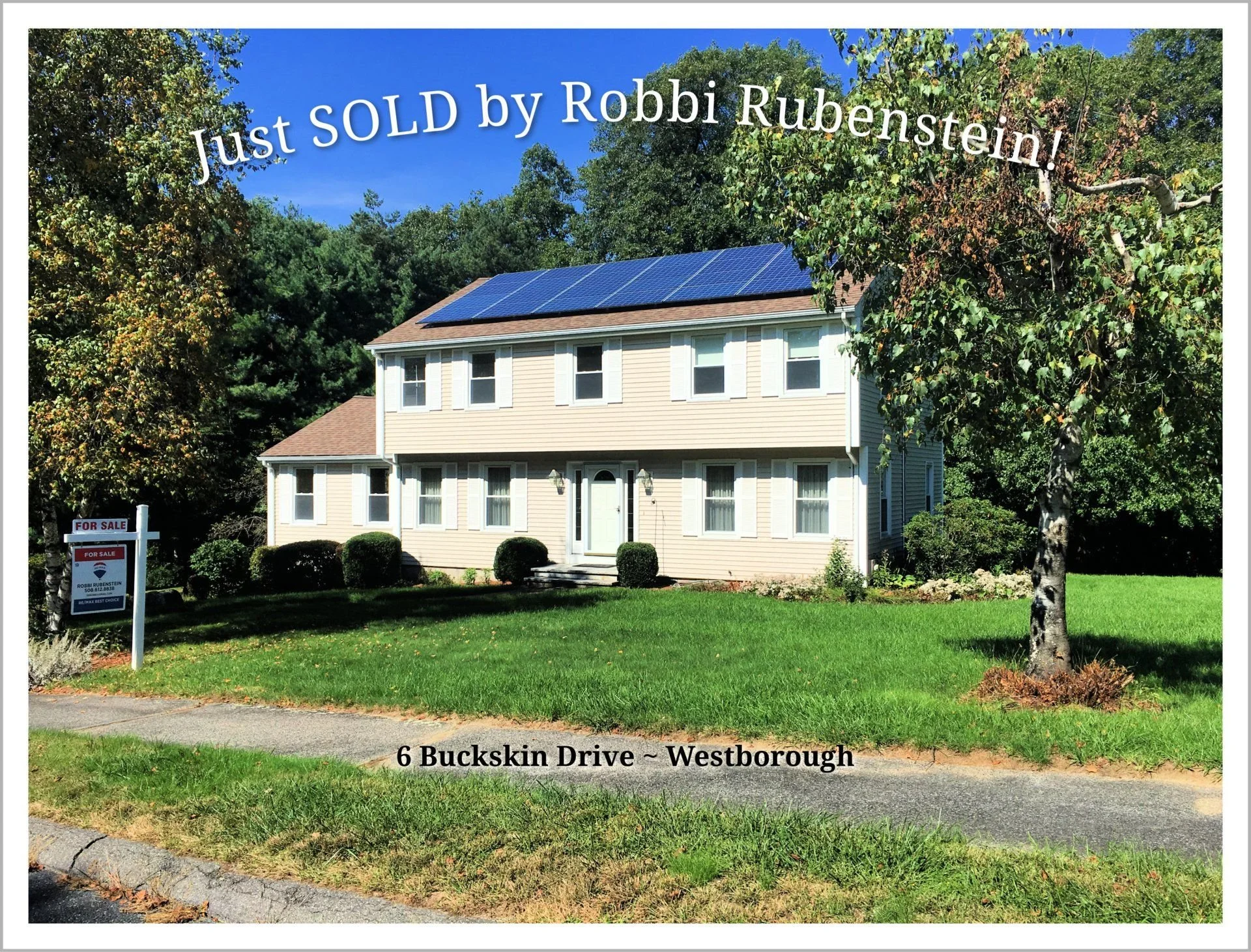 6+buckskin+-+SOLD+(1)-1920w.jpg