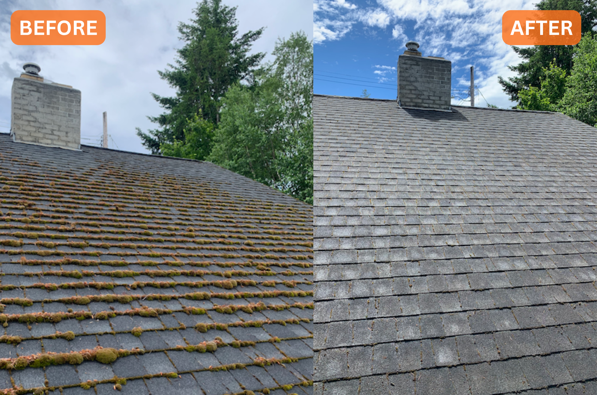 Before picture on the left shows house roof with moss growing between asphalt tiles, after picture shows clean roof with no more moss.