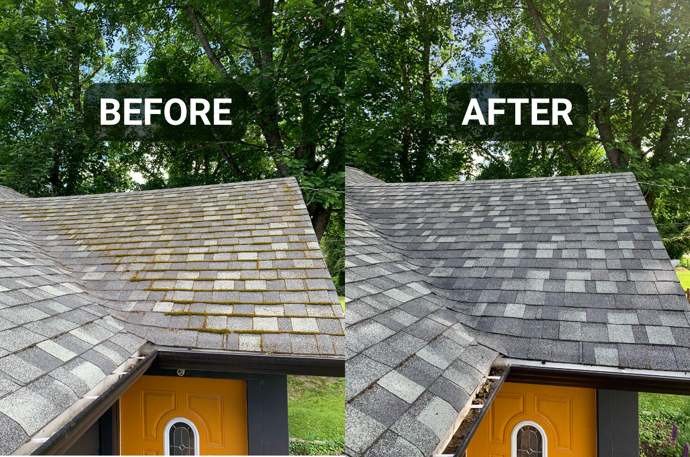 Before picture on the left shows house roof with moss growing between asphalt tiles, after picture shows clean roof with no more moss.