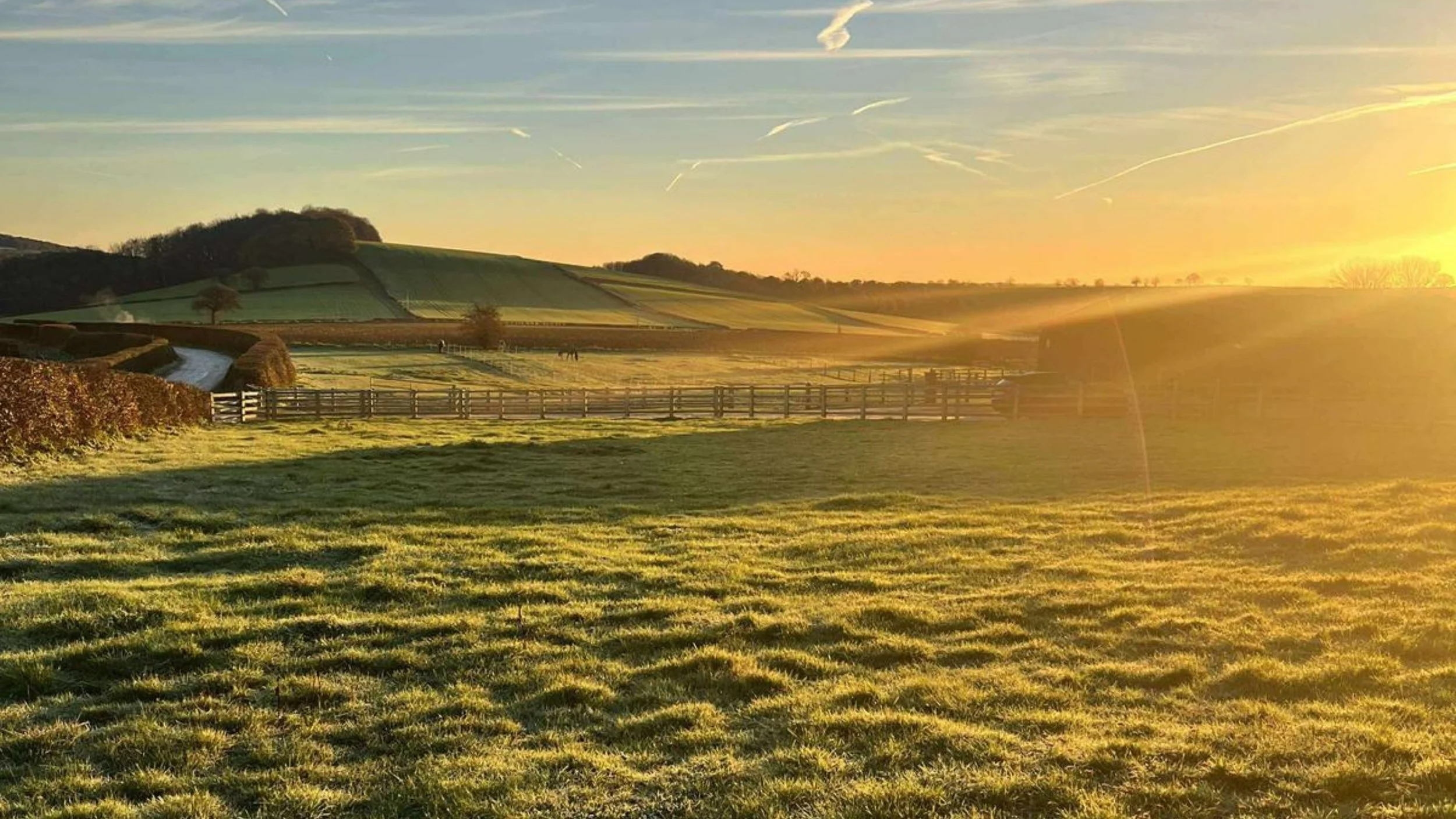 A serene landscape with rolling green hills, a wooden fence, and trees, illuminated by the warm glow of the setting sun with a partly cloudy sky and contrails.