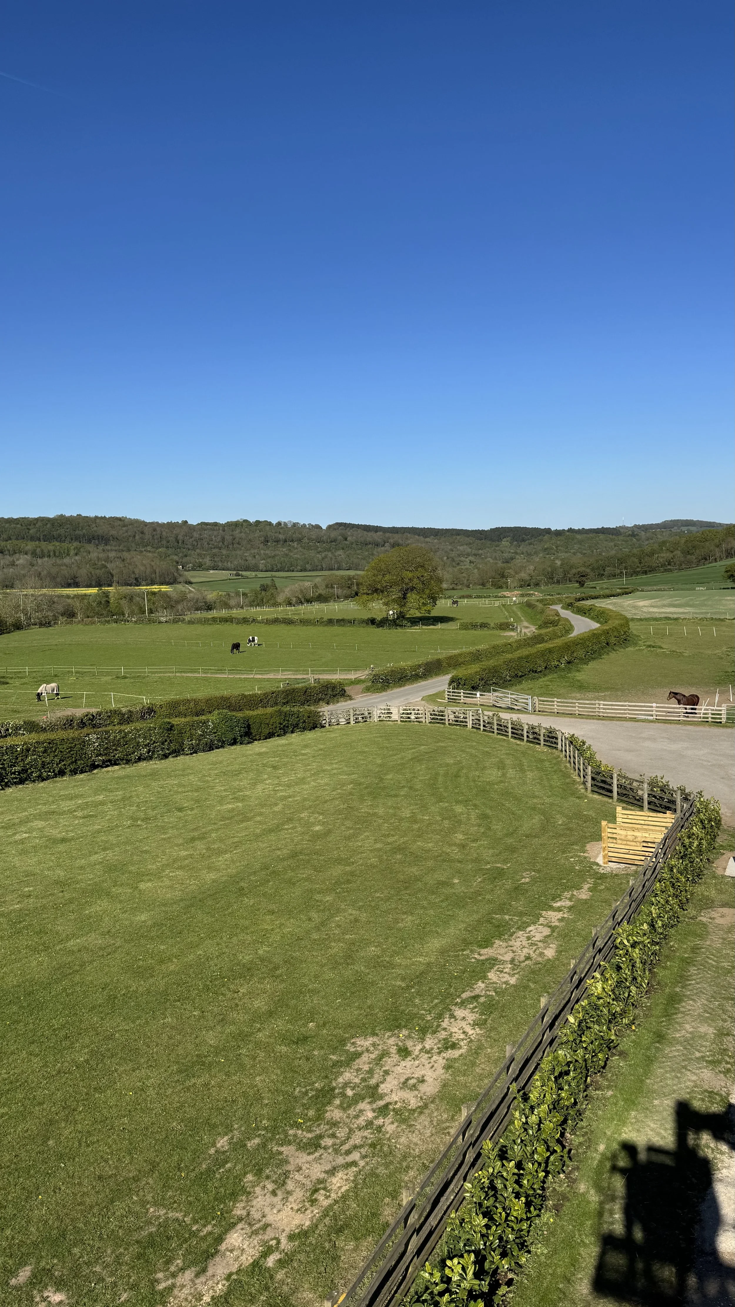 Scenic view of green fields, trees, and distant hills under a clear blue sky, with horses grazing in fenced paddocks and a gravel pathway winding through the landscape.