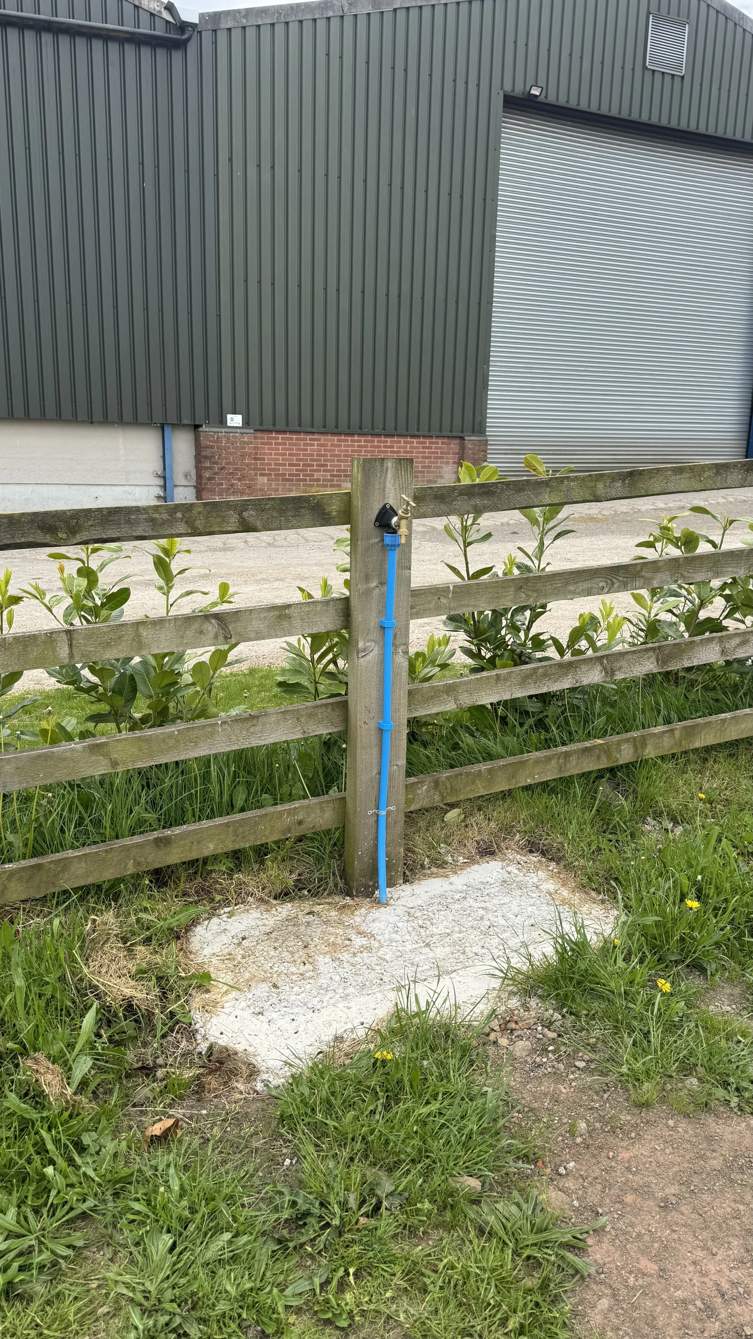 A blue garden hose hanging on a wooden fence next to green bushes and a concrete area, with a large industrial building in the background.