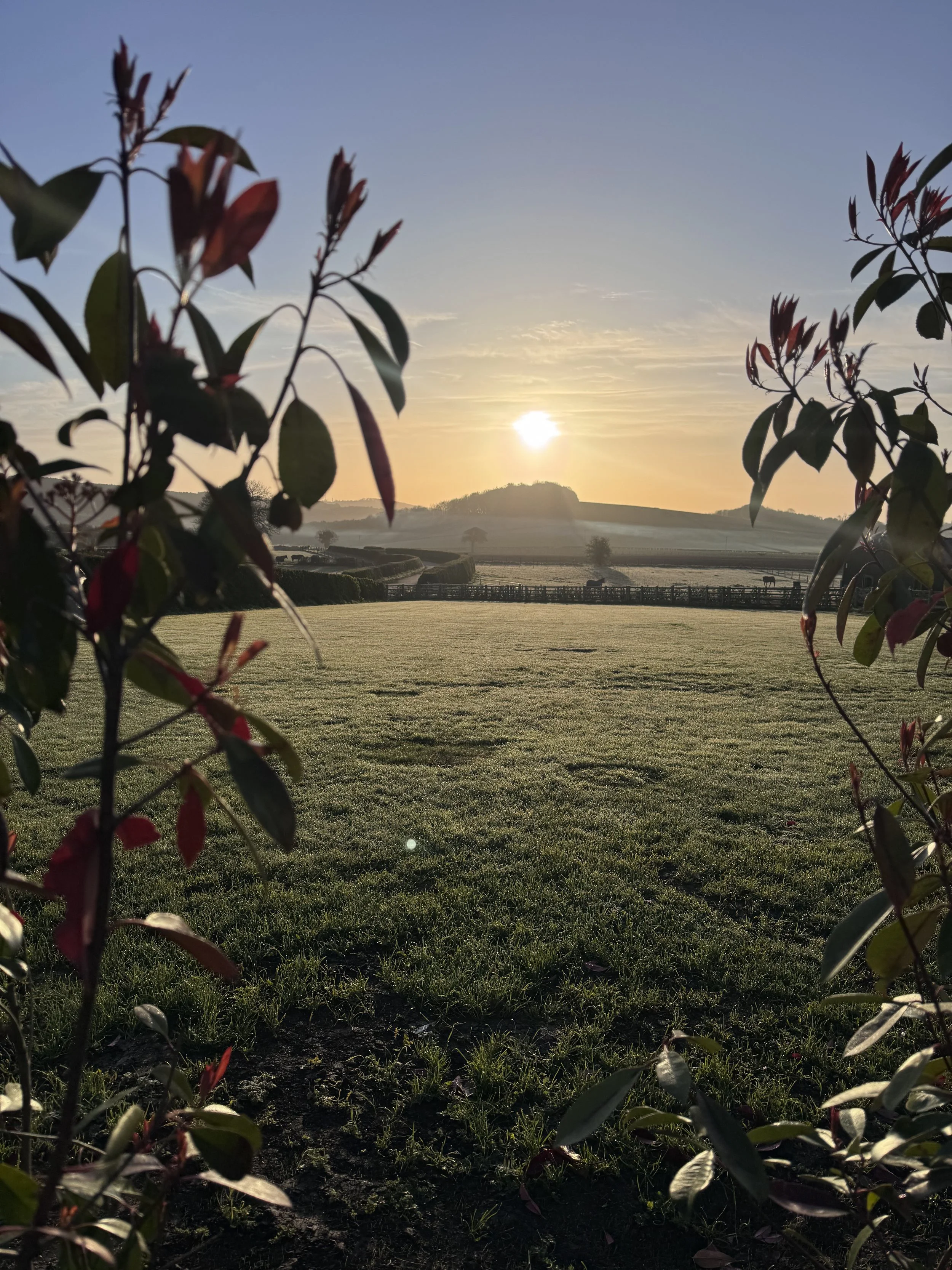 Sunrise over a countryside landscape with fields, fences, and distant hills, framed by leaves and branches in the foreground.