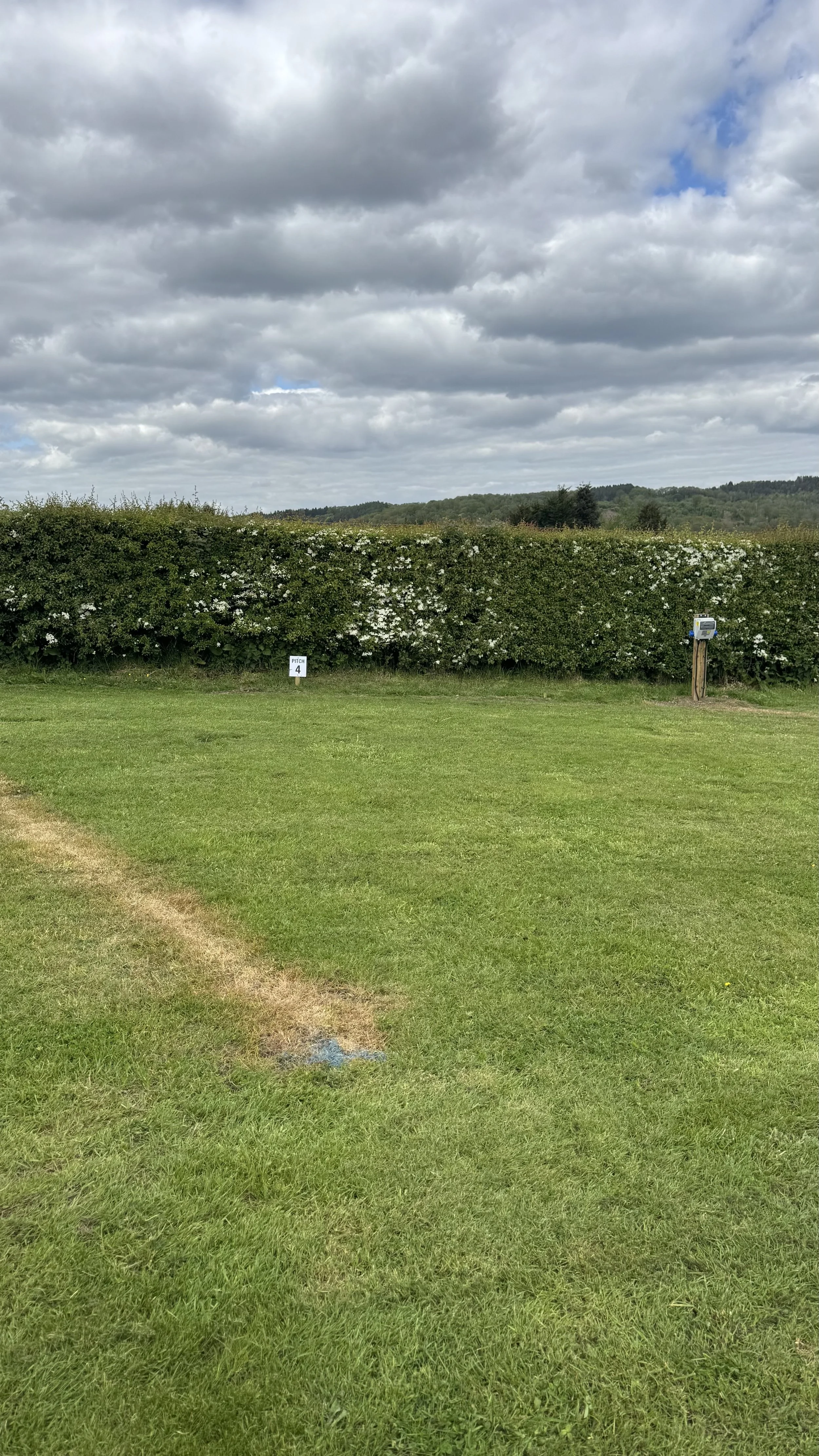 A well-maintained grassy field with a small blue paint mark, bordered by a bush with white flowers, and a sign that says 'Pitch 4' in a rural landscape. In the background are trees and a cloudy sky.