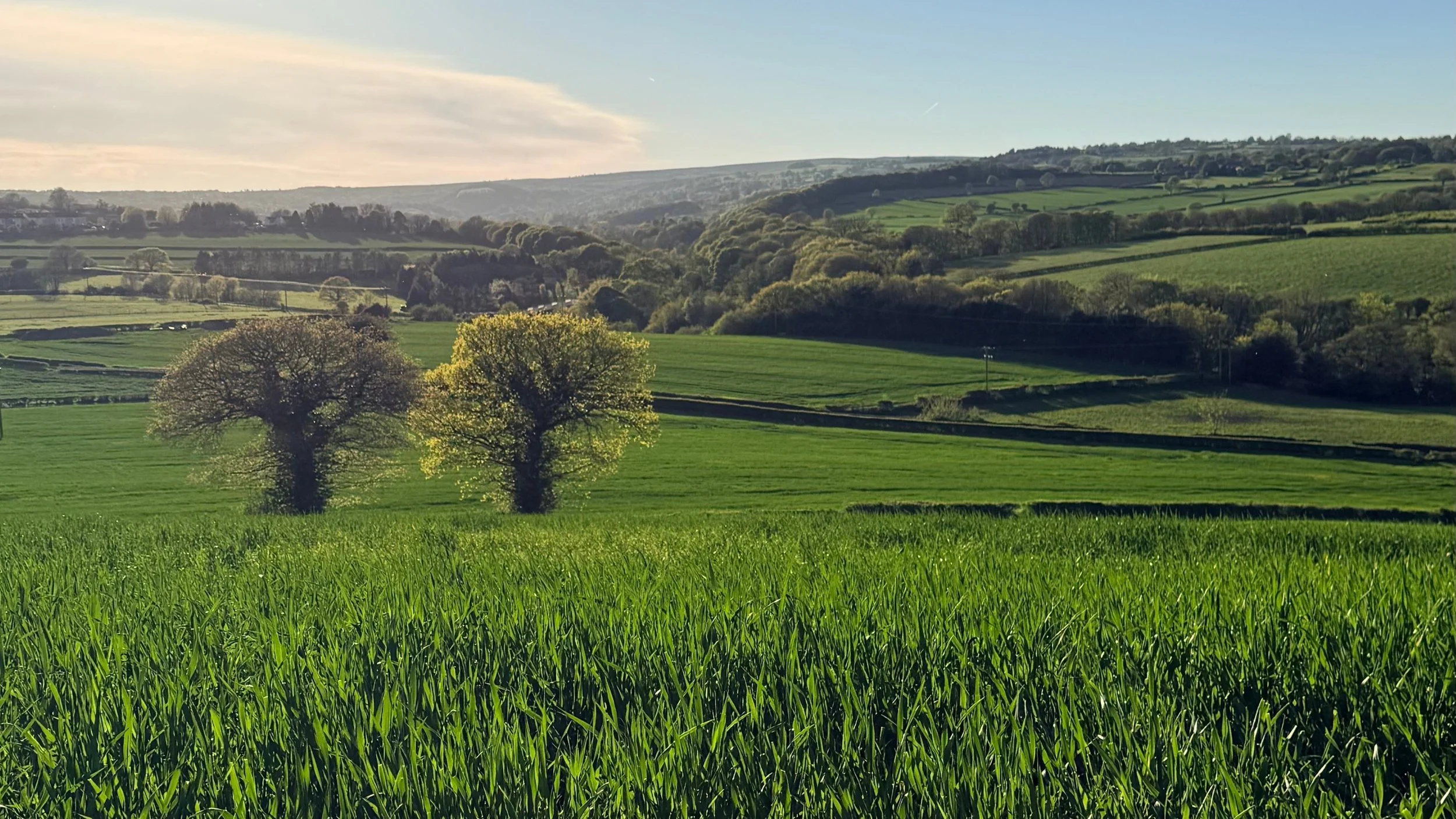 Green rolling hills with scattered trees and a partly cloudy sky.