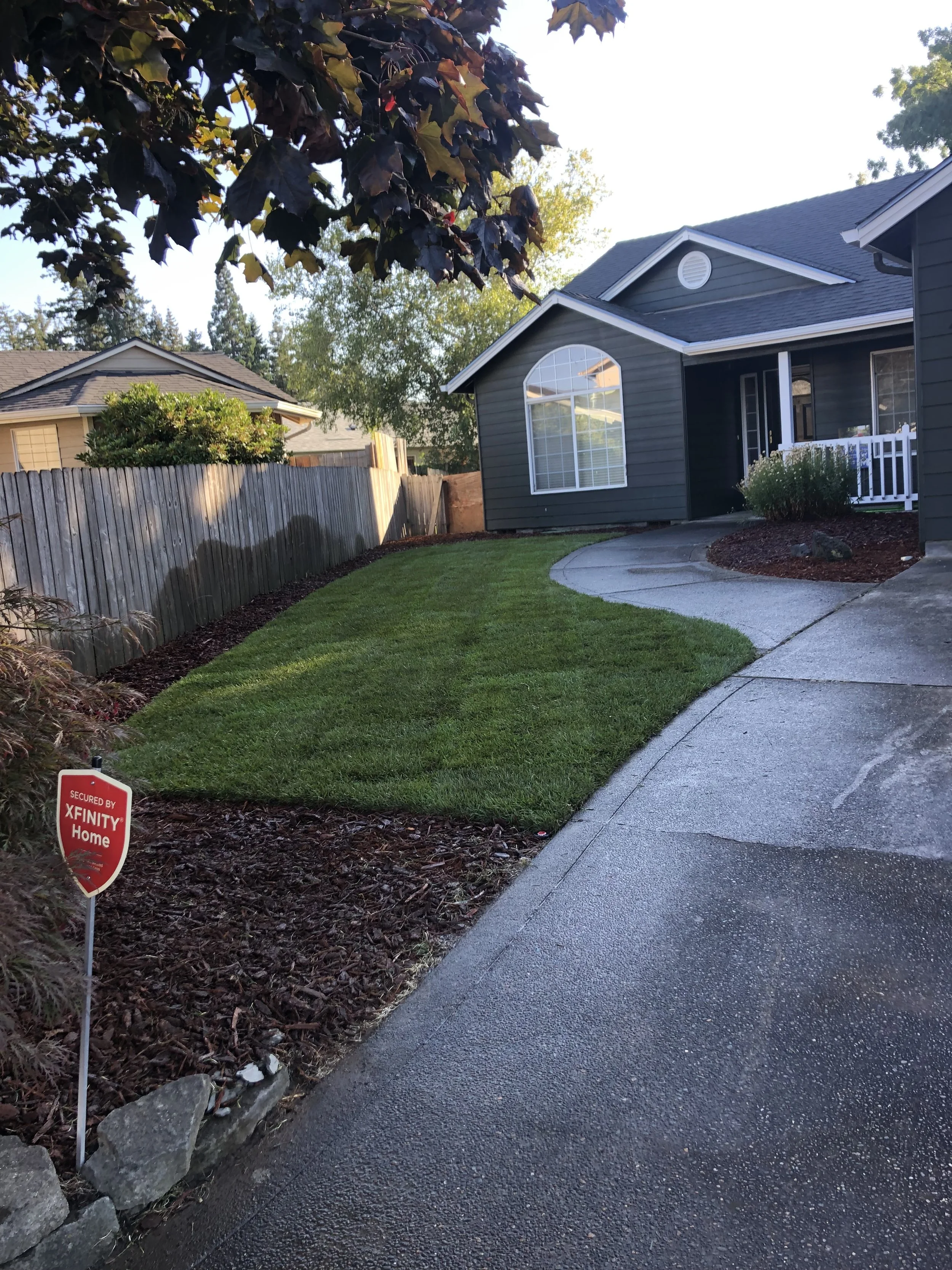 A backyard with a well-maintained lawn, a concrete walkway, a gray house with large windows, a white fence, and trees in the background. A red security sign for Xfinity Home is in the mulch bed near the sidewalk.