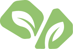 Simple illustration of two green leaves.