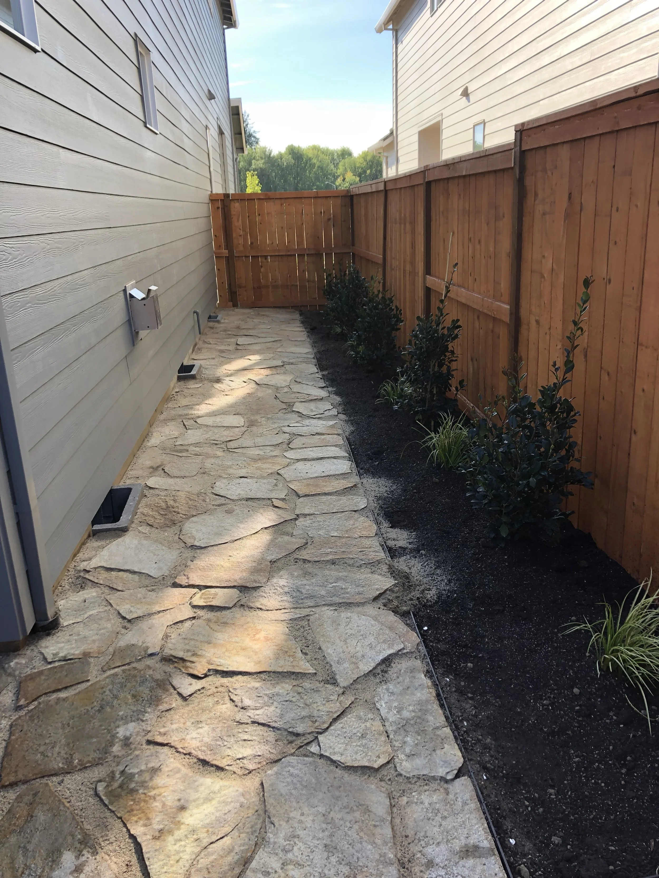 A small backyard with a stone pathway running alongside a light gray house with small windows. A wooden fence borders the yard, and there are small plants along the fence on the right side. Trees are visible in the distance under a blue sky.