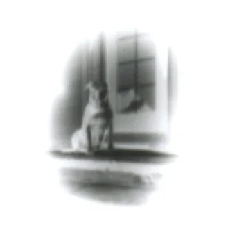 Pinhole (darkroom required)