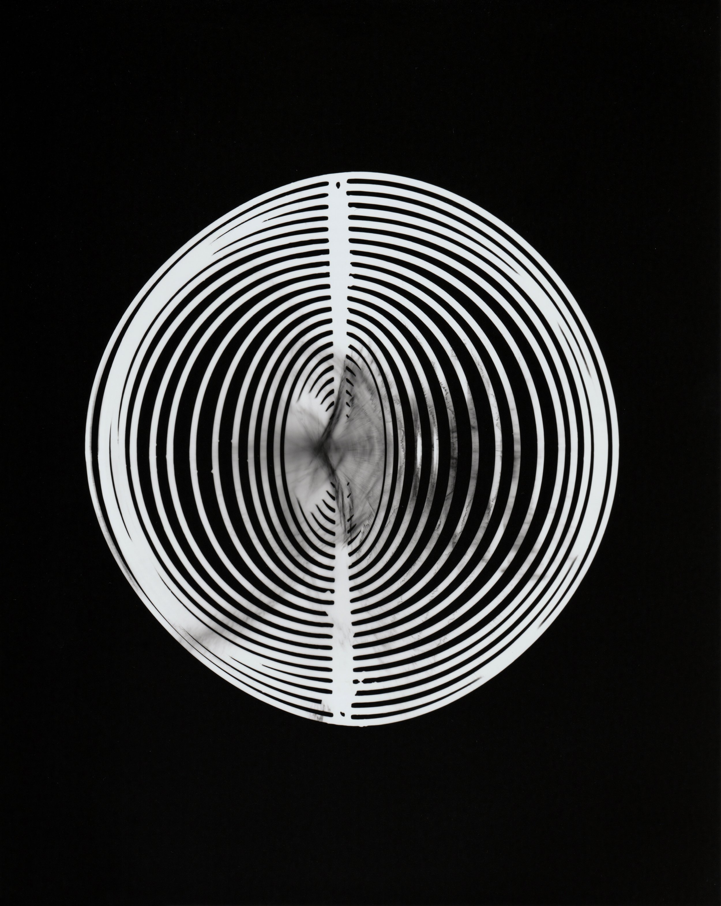 Photograms (darkroom required)