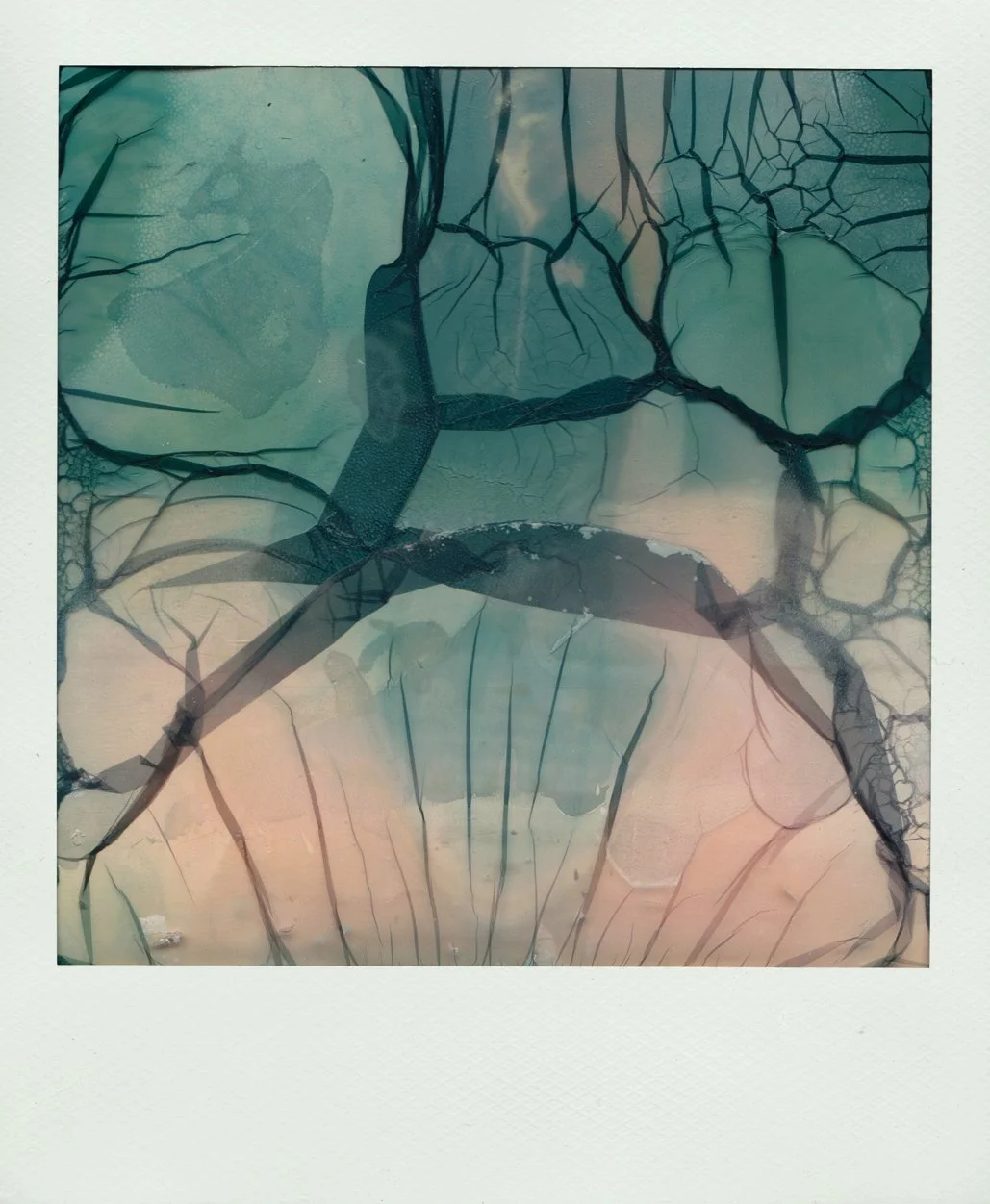 Polaroid Destruction