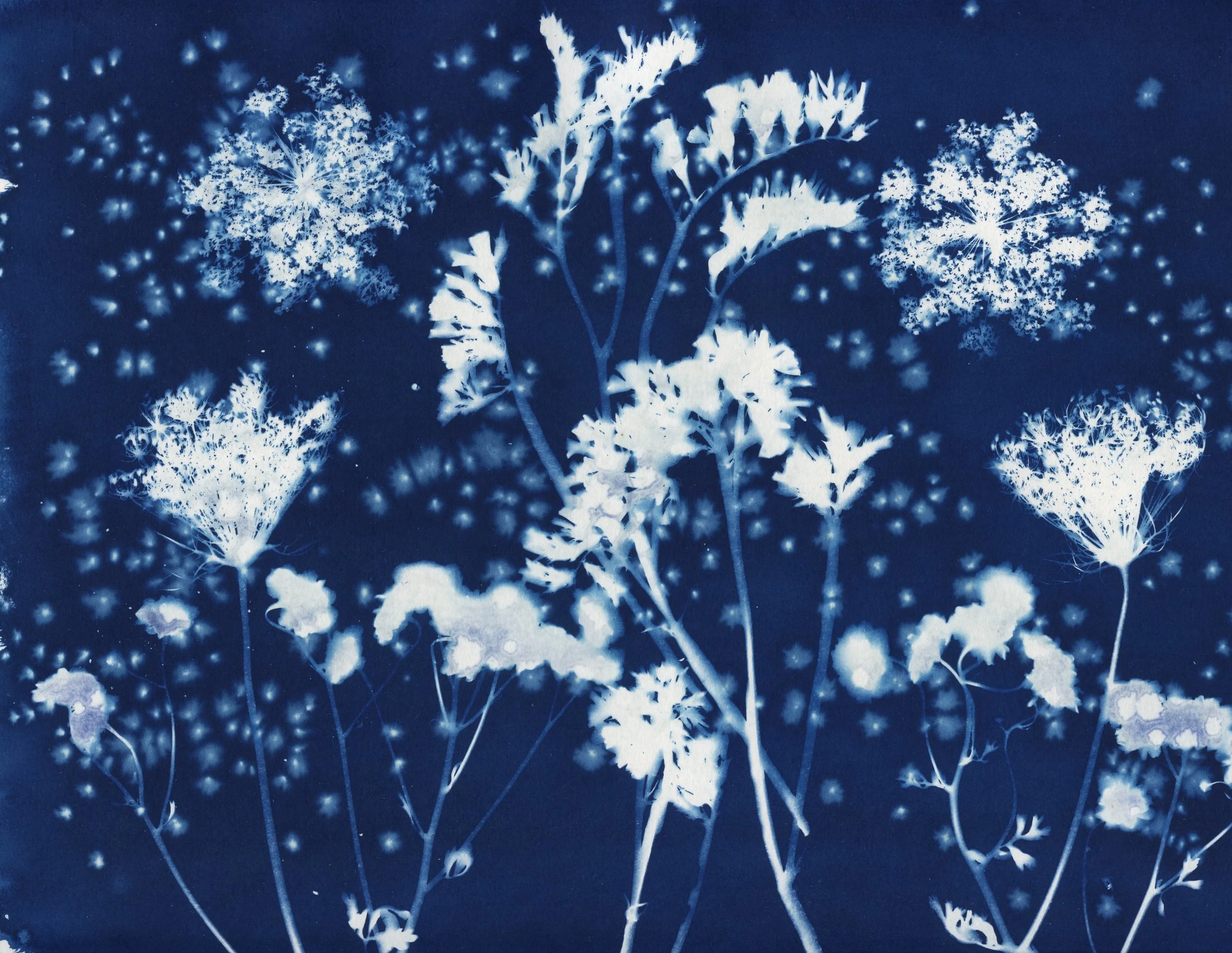 Cyanotype