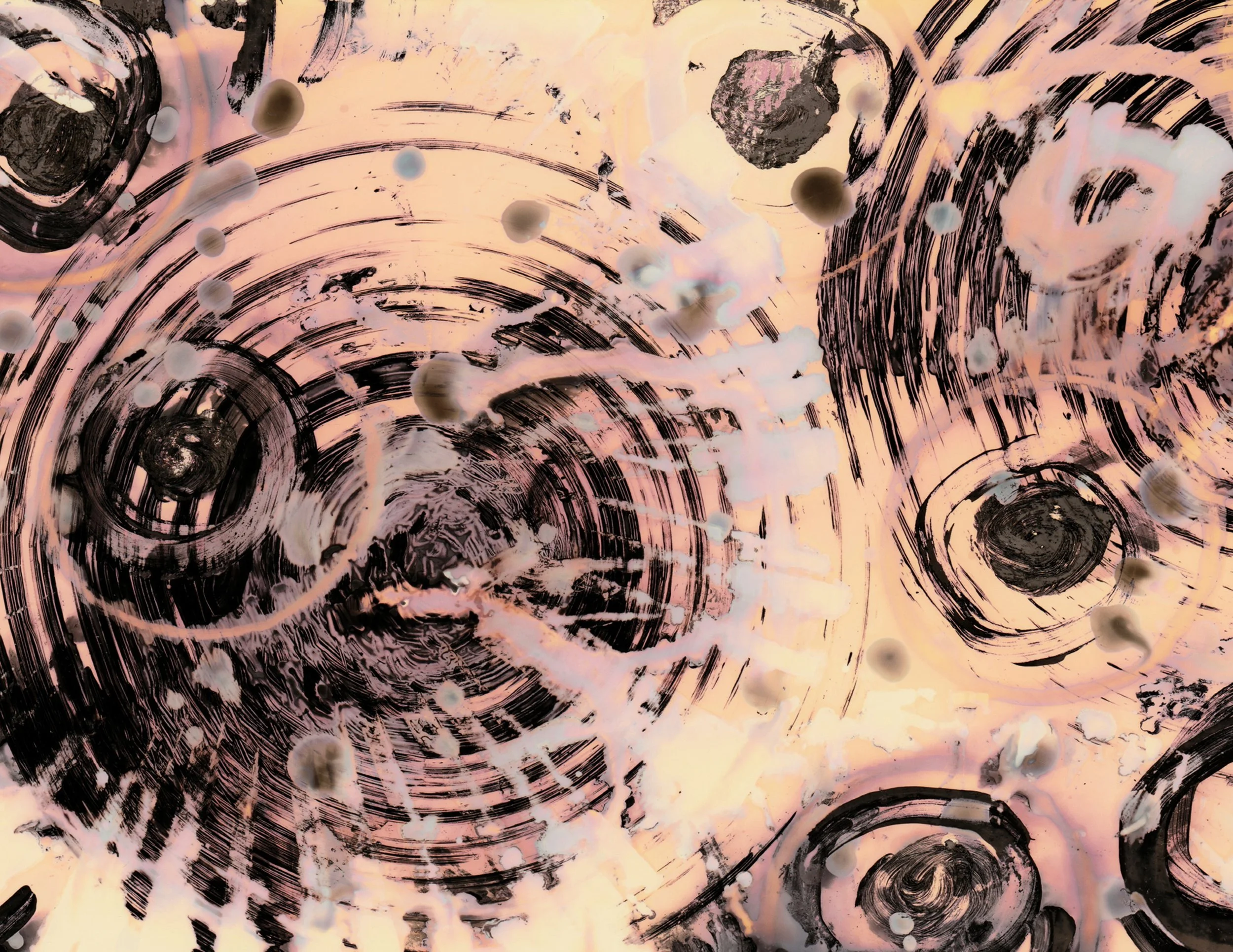 100a_Beginnings_8.5x11_Chemigram_Sarah Roberto_NC.jpg