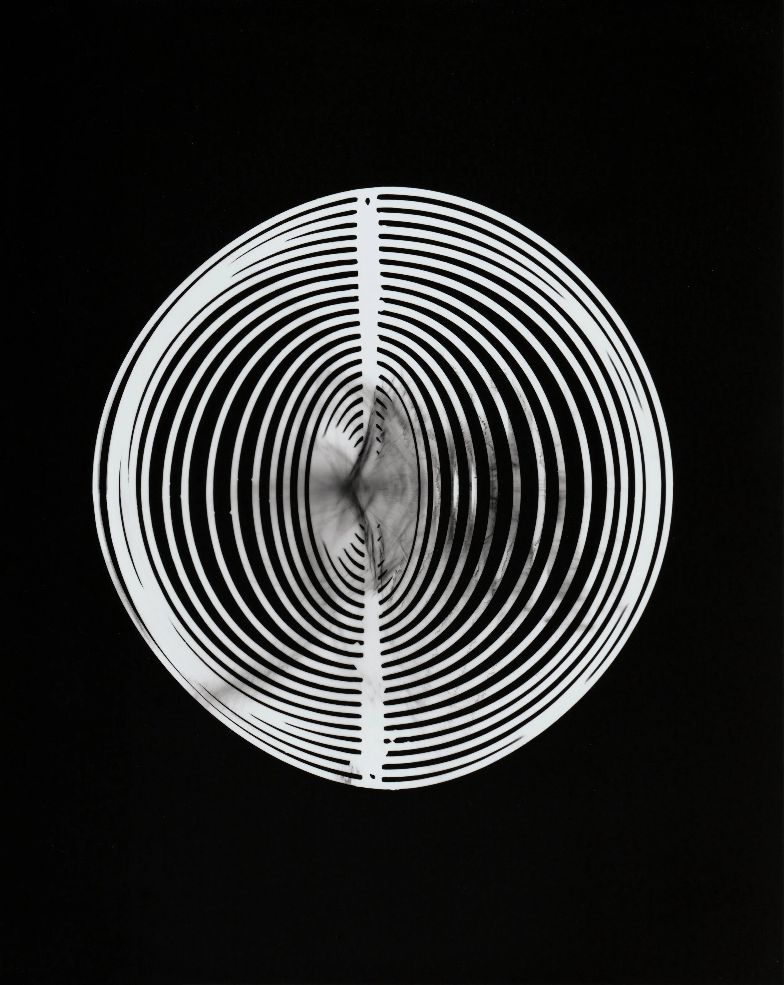 01 Photogram.jpg