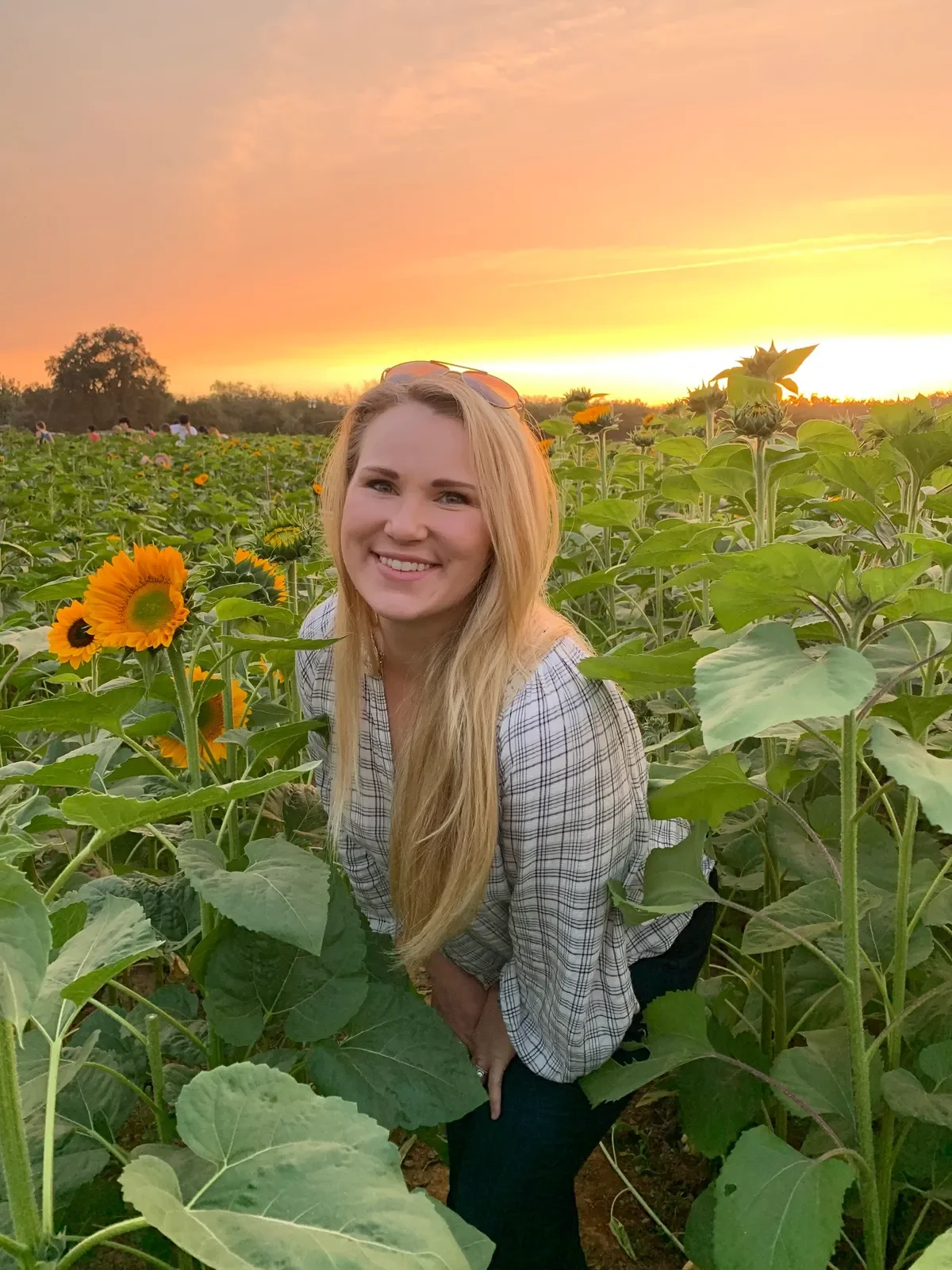 A woman with long blonde hair smiling in a sunflower field at sunset, wearing a plaid shirt and sunglasses on her head.