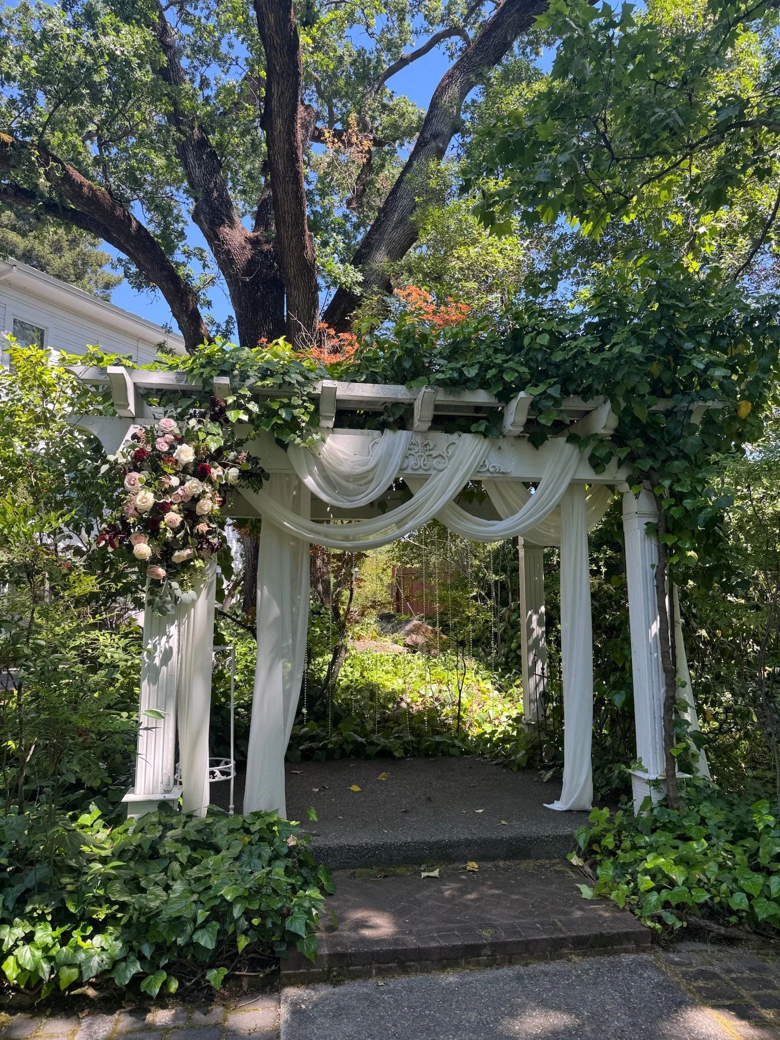 A garden arch decorated with white drapes and lush greenery, surrounded by vibrant plants and flowers, with a large tree and clear blue sky in the background.