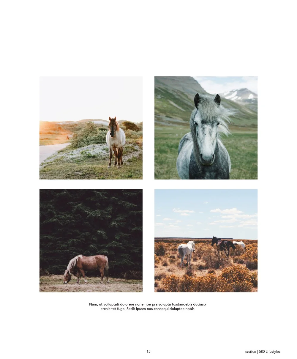 580Lifestyle-12.jpg