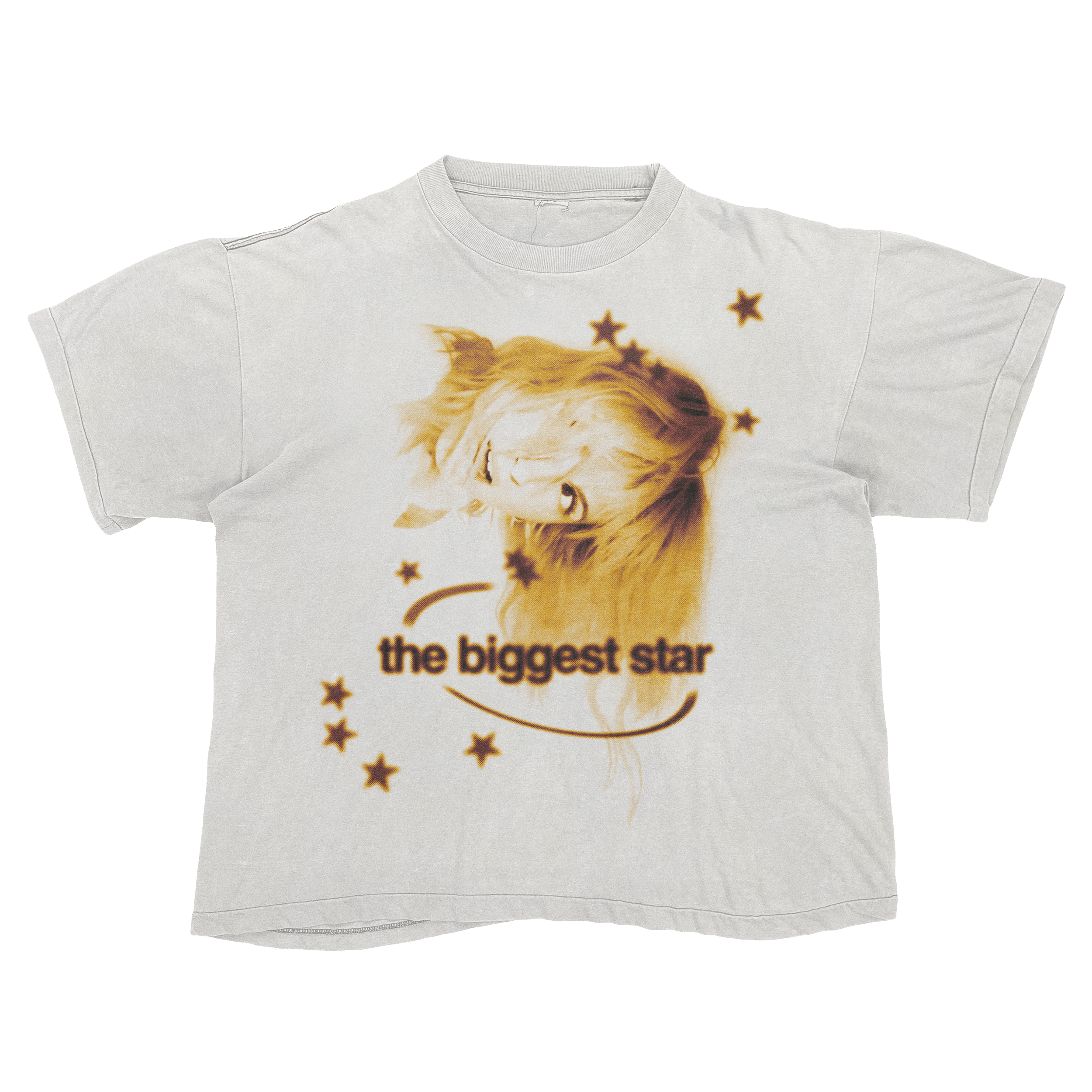 Hayley Williams The Biggest Star Tee