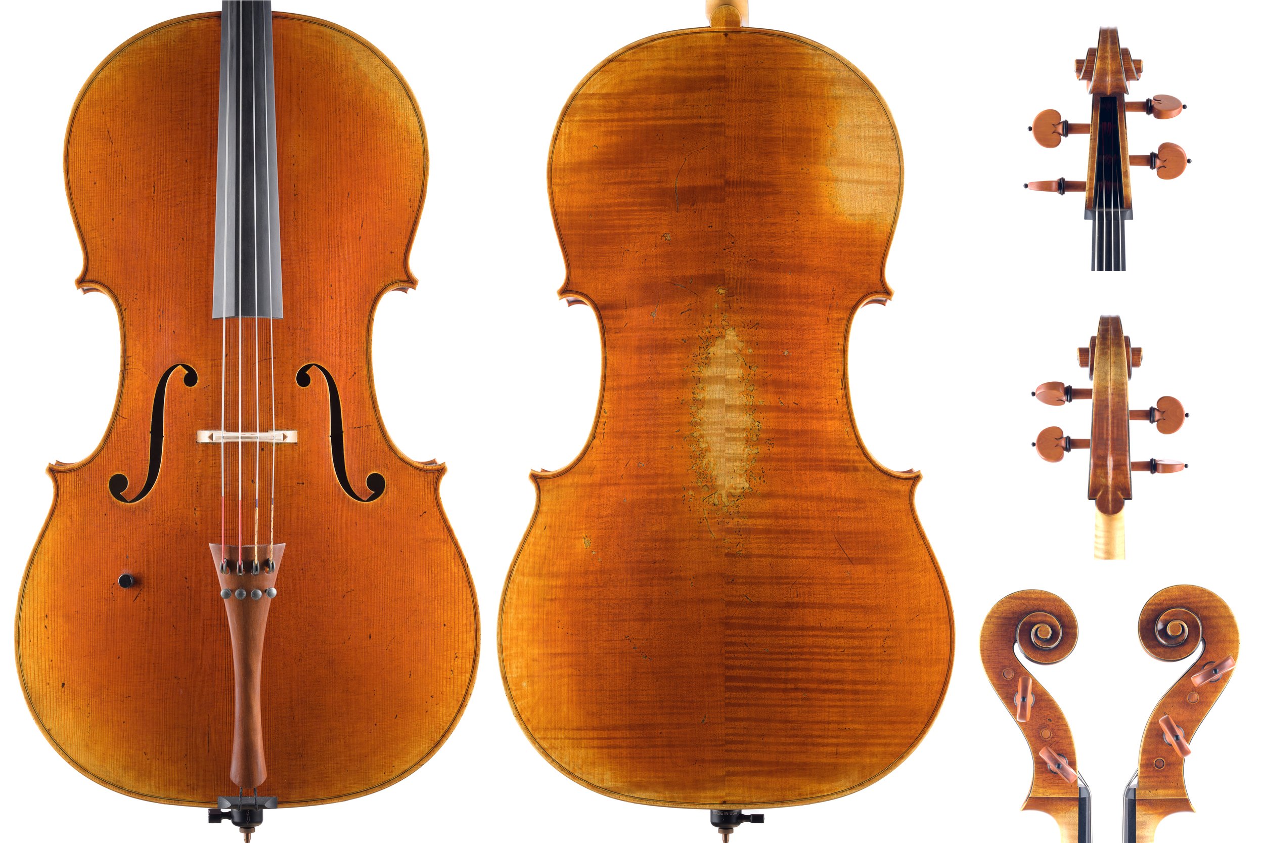 David Folland Cello 2023.jpg