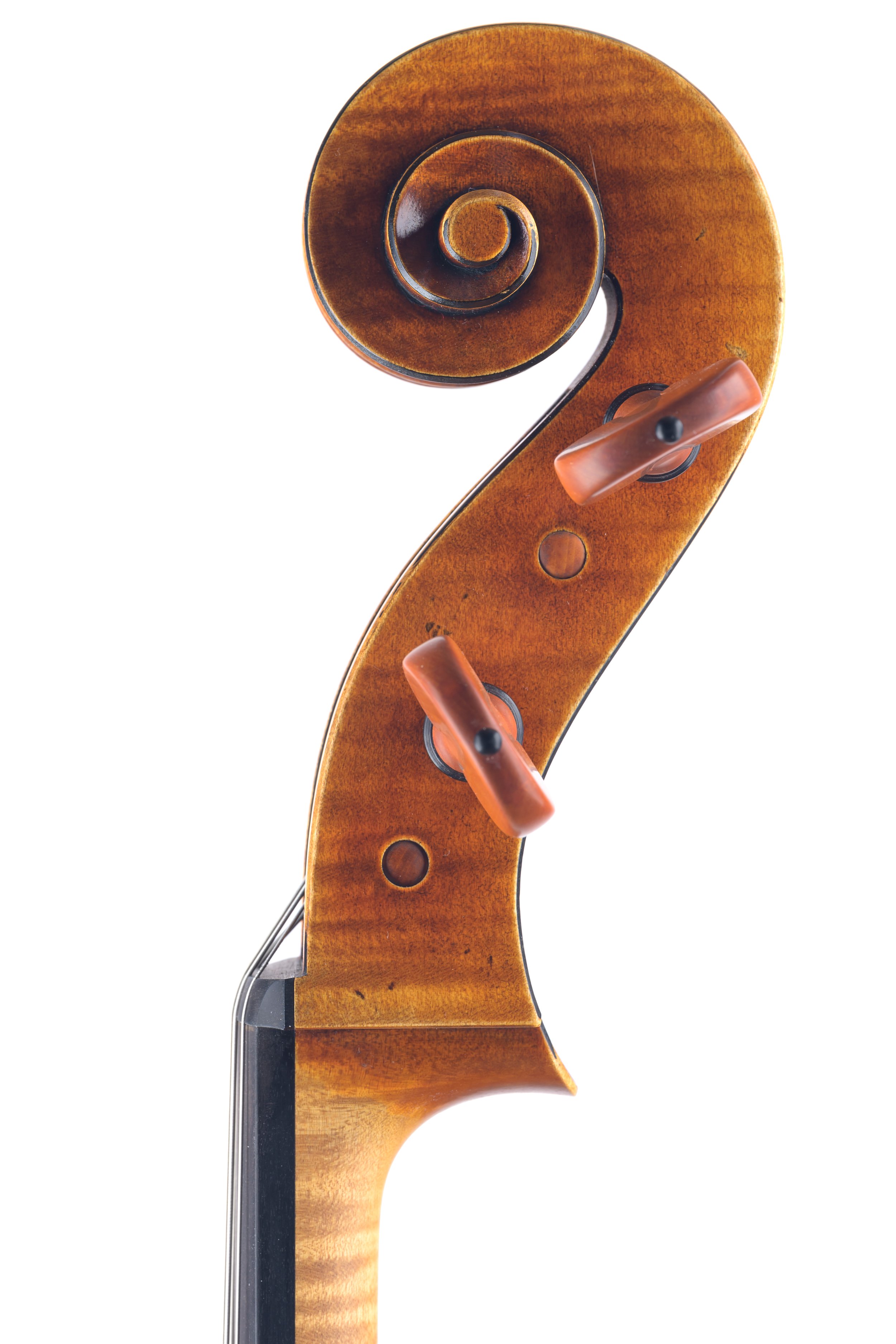 Folland Cello-5.jpg