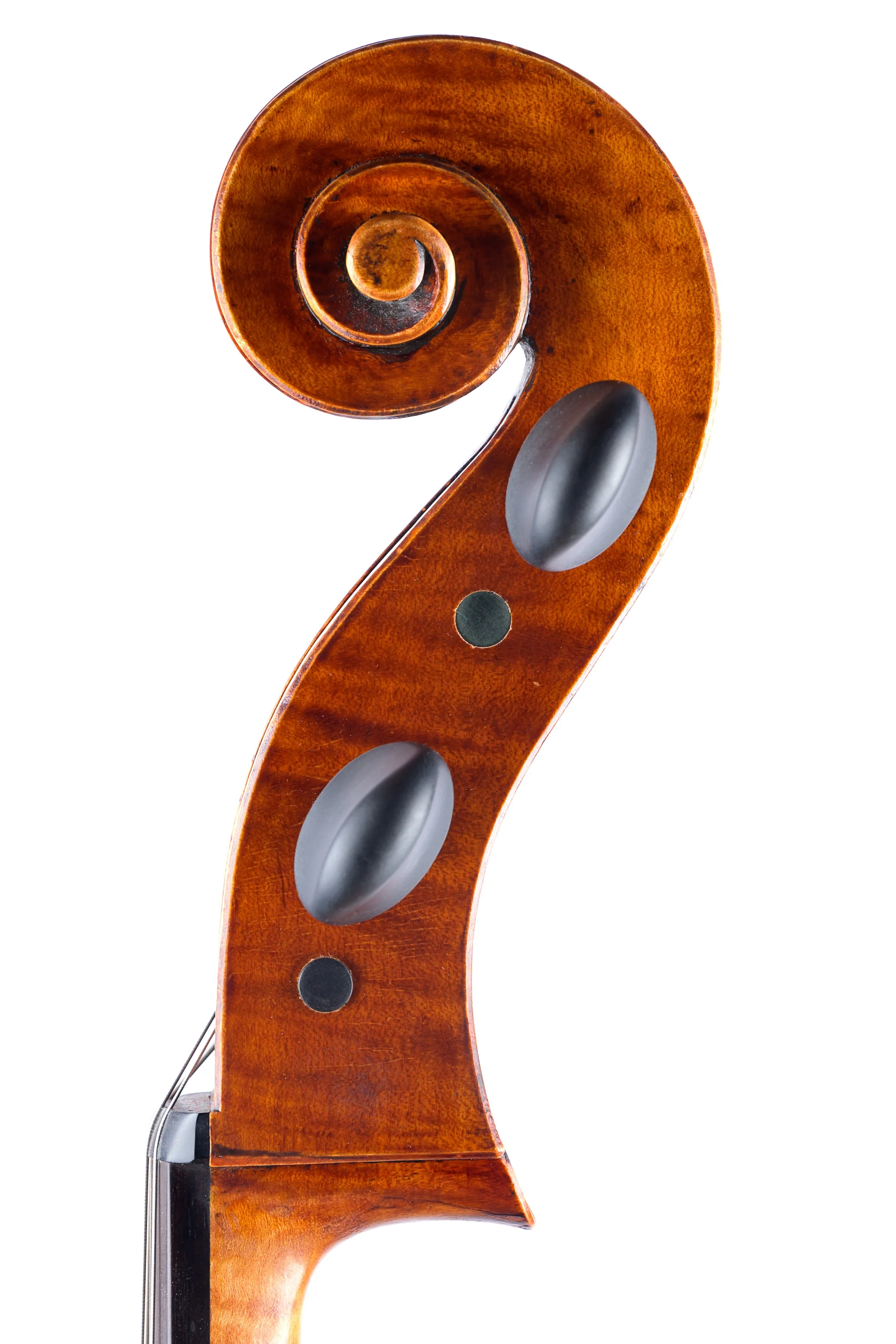 Melanson Cello--5.jpg