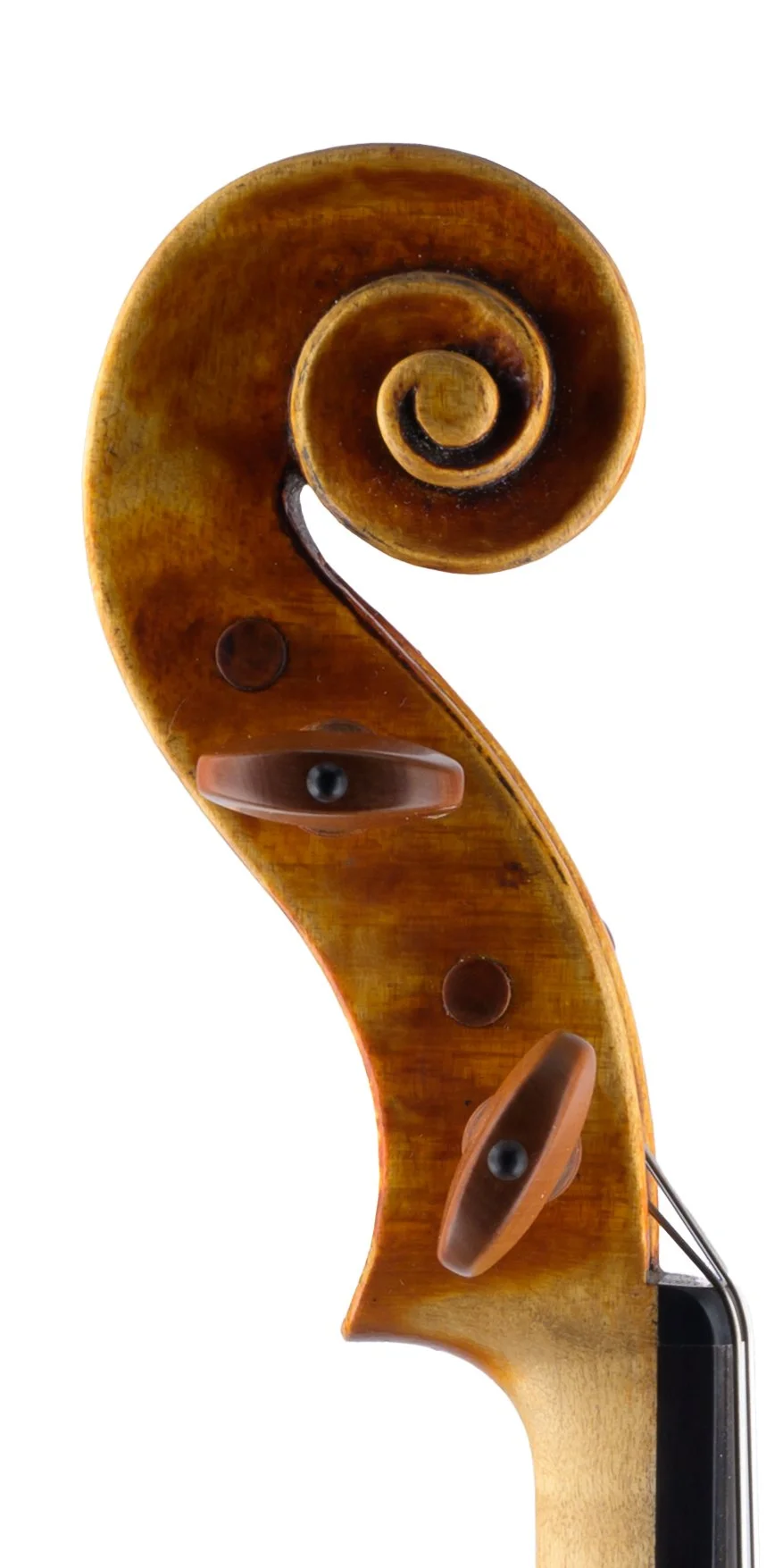 MLC - 3 Bass Scroll.jpg