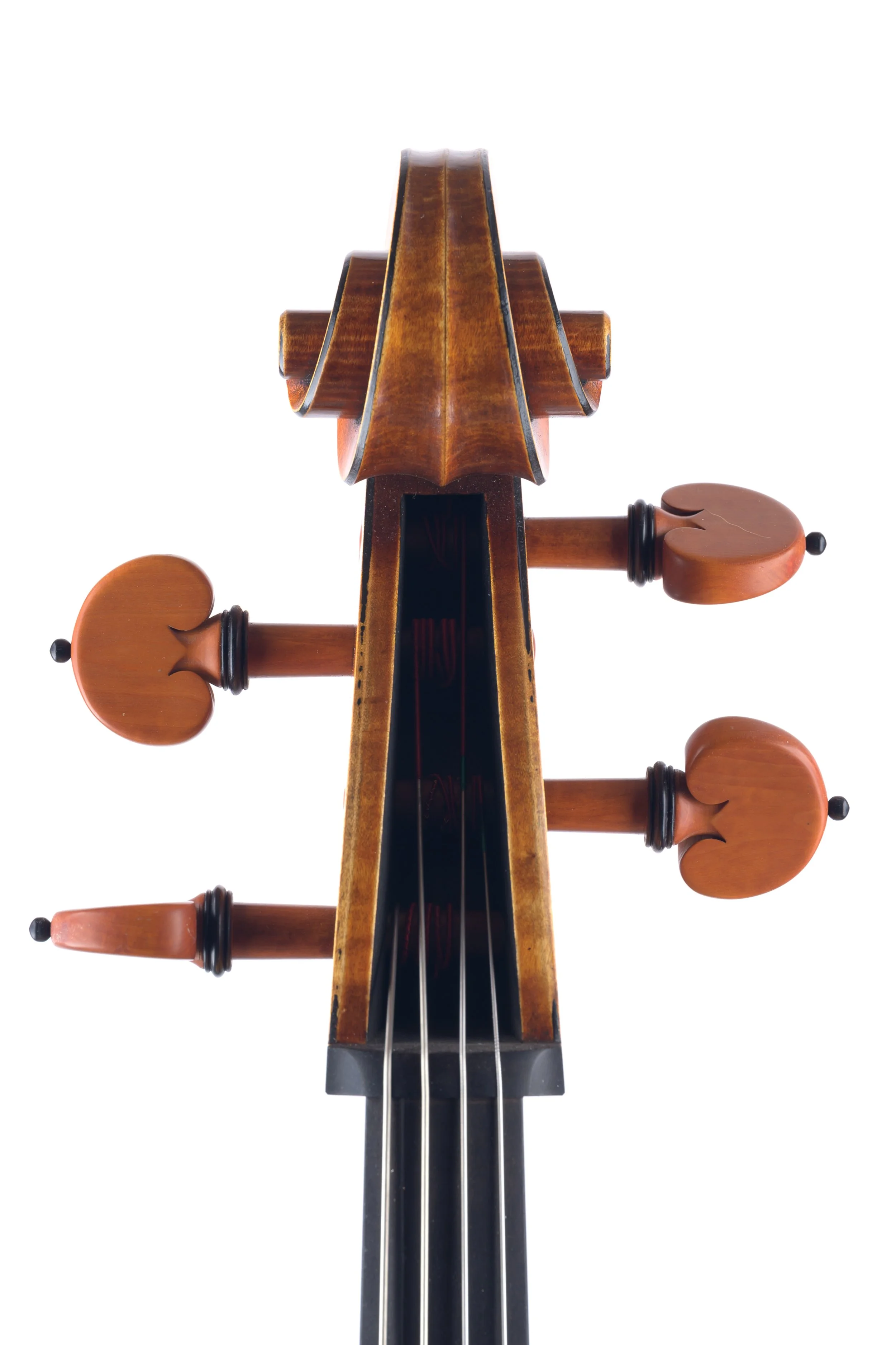 Folland Cello-3.jpg