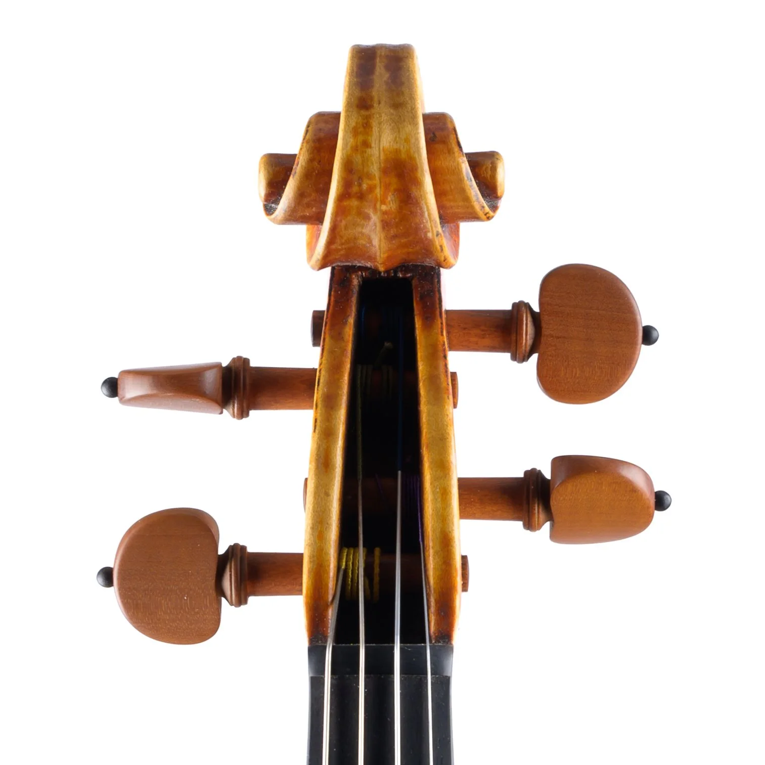 MLC - 5 Scroll.jpg
