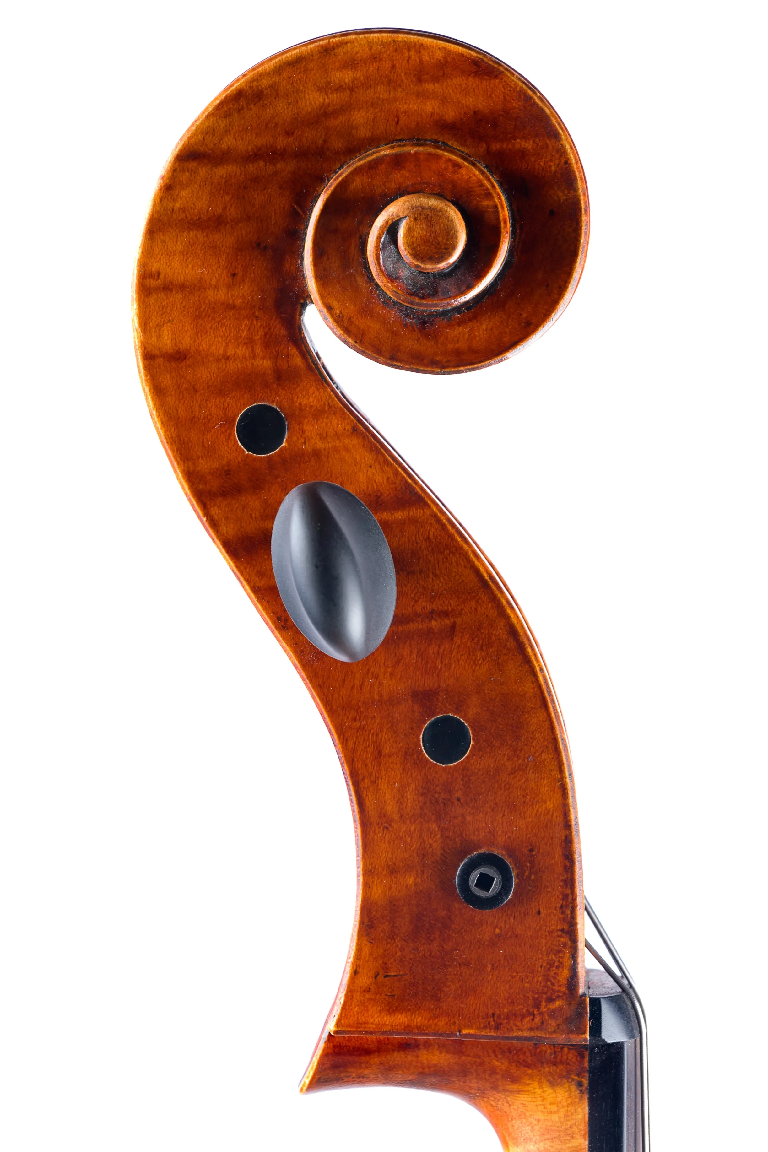 Melanson Cello--6.jpg