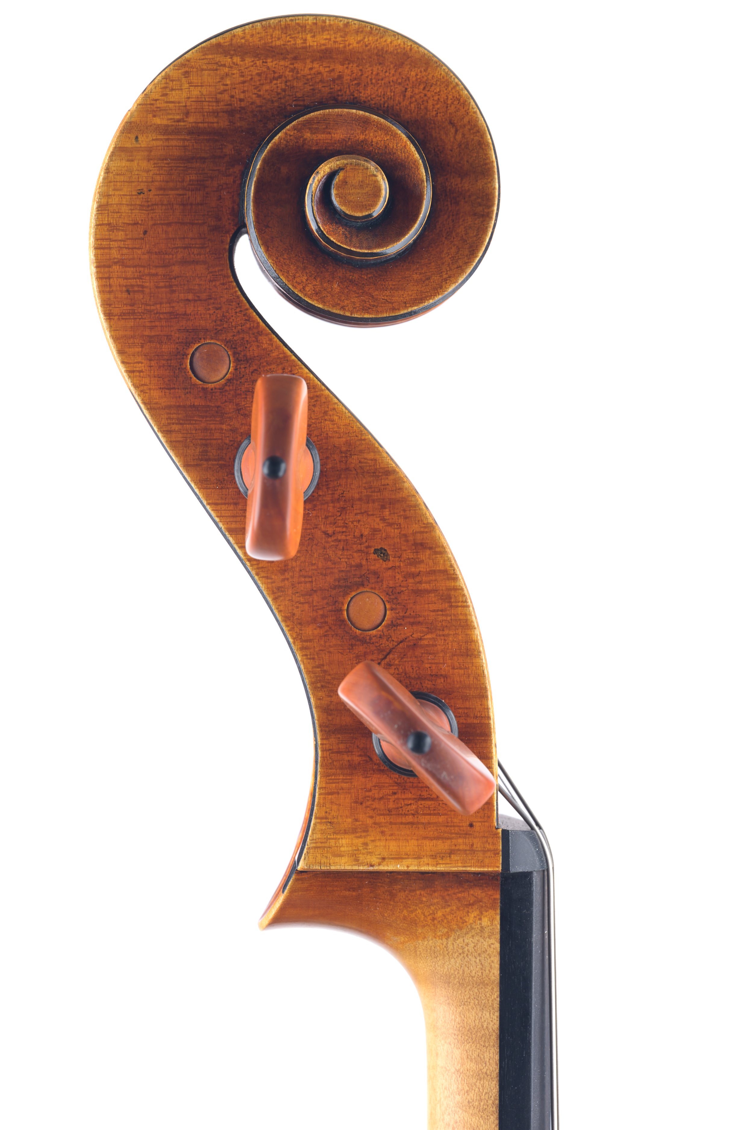 Folland Cello-6.jpg