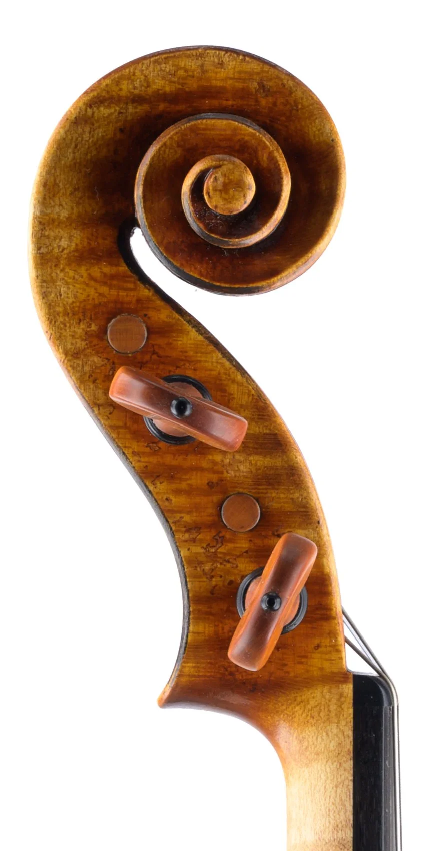 Silvio Levaggi - 3 Bass Scroll.jpg