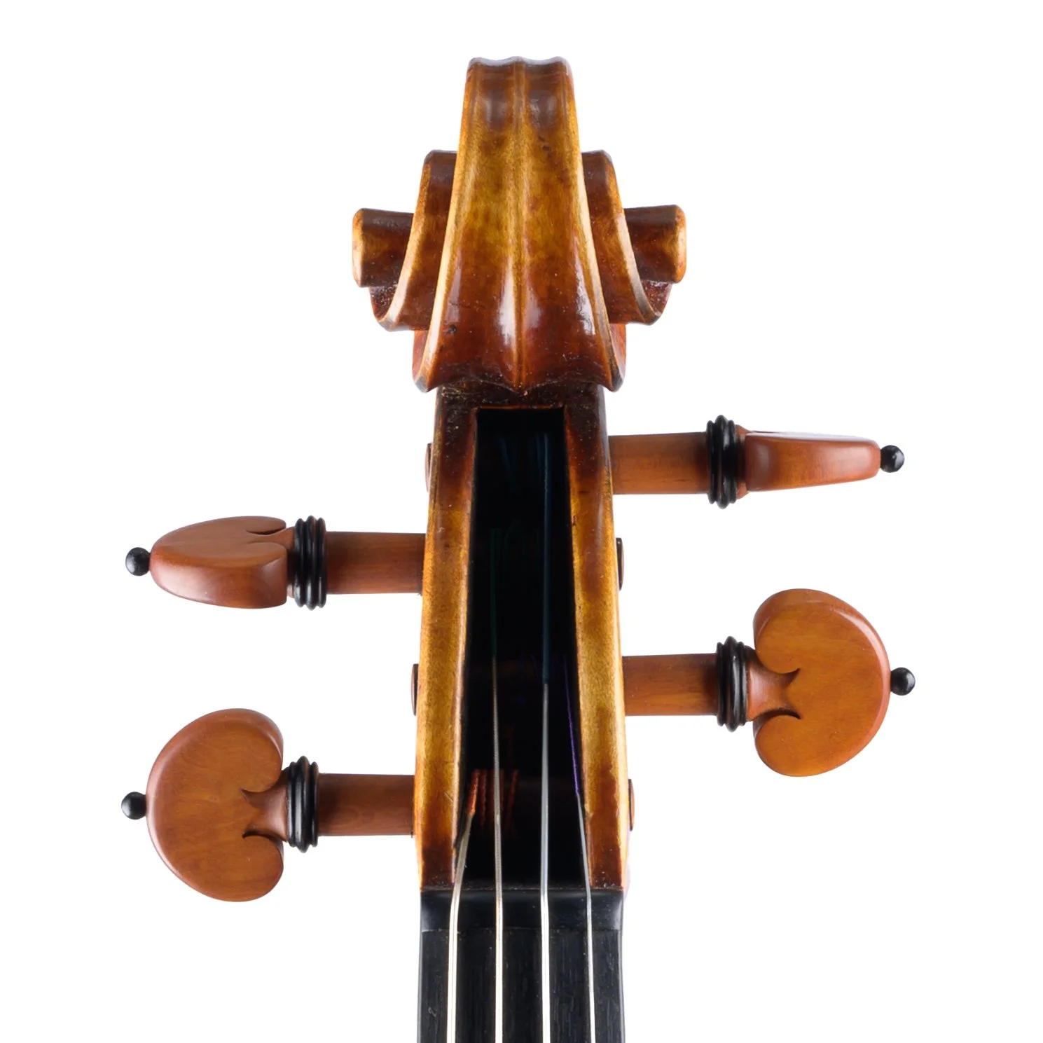 Silvio Levaggi - 5 Scroll front.jpg