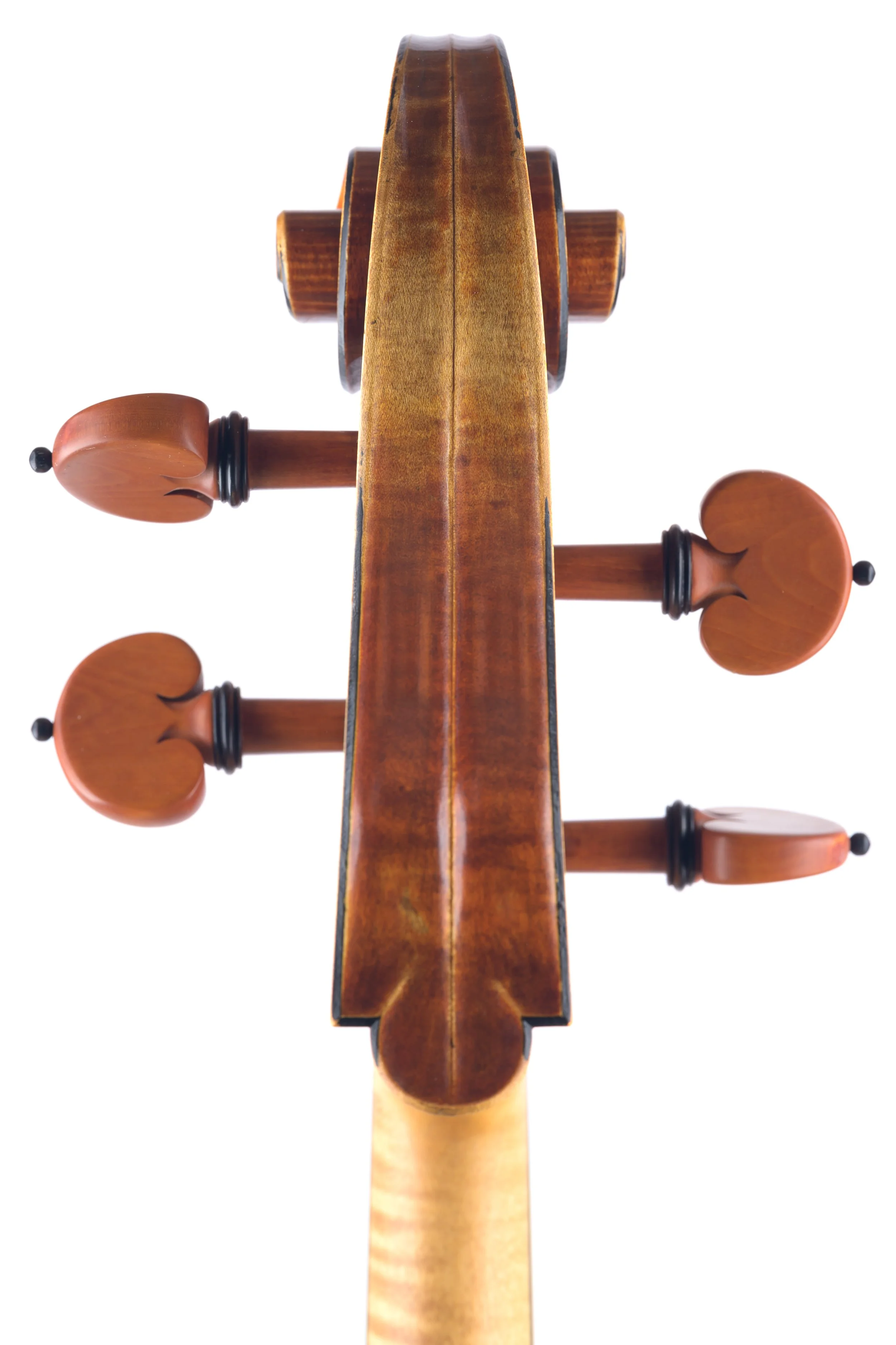 Folland Cello-4.jpg