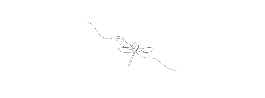 Line drawing of a dragonfly with detailed wings and elongated body.