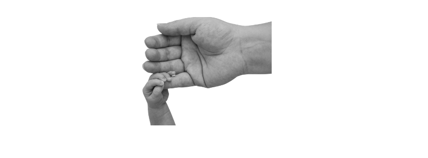 An adult hand holding a smaller child's hand