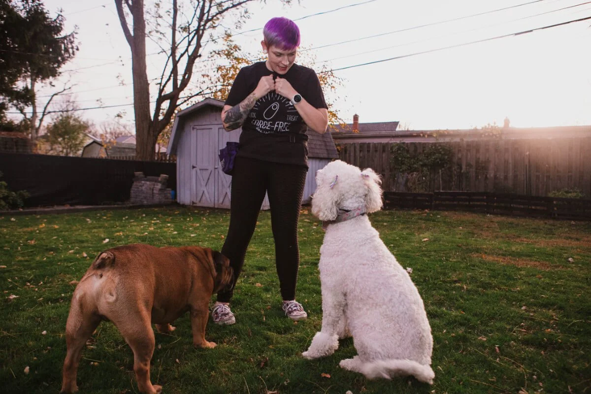 A woman with purple hair standing between two dogs in a backyard, one large white poodle and a smaller brown dog, engaging in training or play during sunset.
