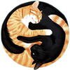 Two cats, one orange and white, the other black, curled together in a circular pattern.