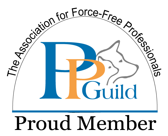Logo for a guild featuring large blue and orange stylized letters 'P' and 'P' with the word 'Guild' in smaller blue letters.