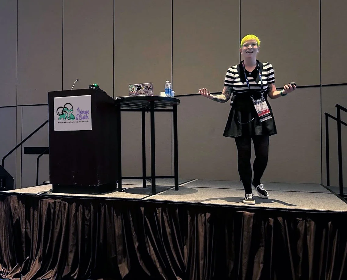A woman with yellow hair wearing a striped top and black skirt giving a presentation on stage at a conference. There is a podium with a logo and a table with two bottles of water and a laptop beside her.