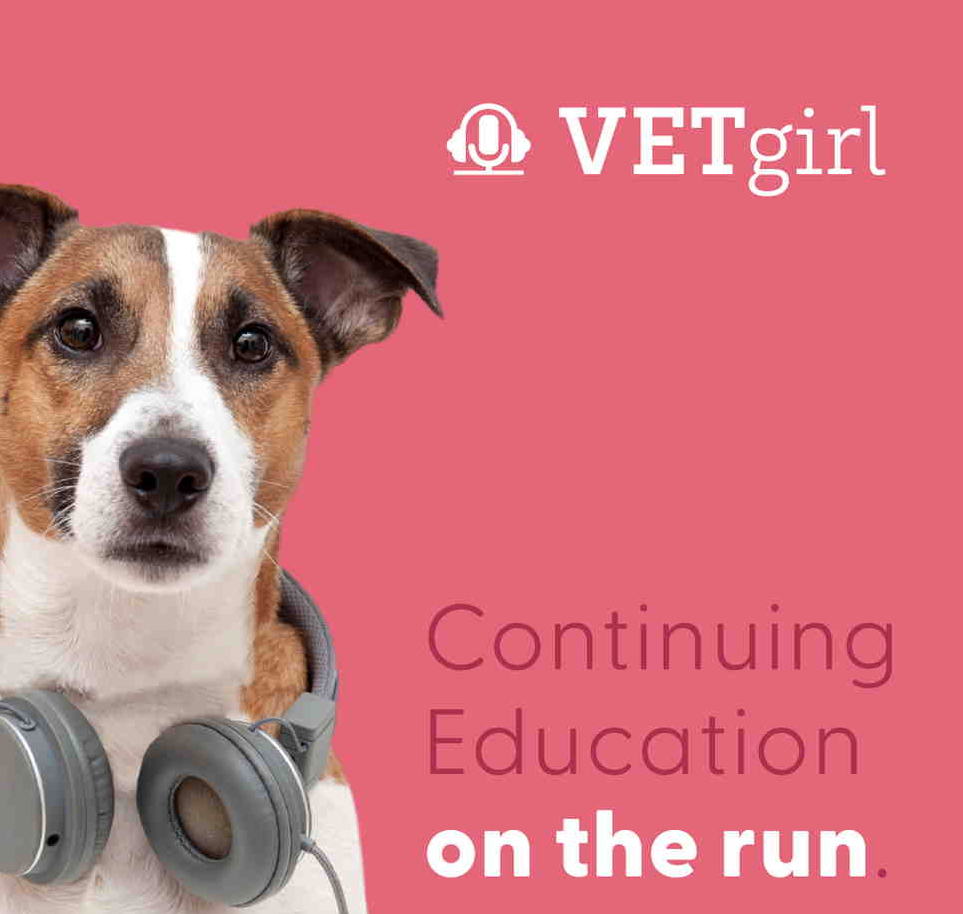 A dog wearing headphones on a pink background with text that reads "VET girl" and "Continuing Education on the run".