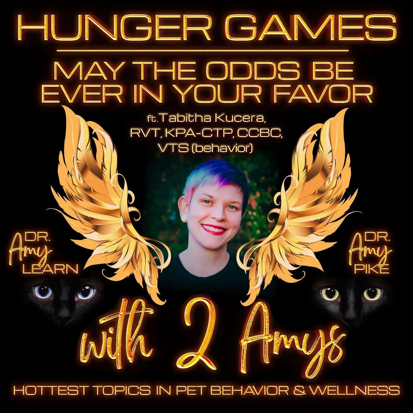 A promotional poster for Hunger Games with a portrait of Dr. Amy Pike, featuring black cats with different eye colors, golden wing illustrations, and glowing neon-style text about pet behavior and wellness topics.