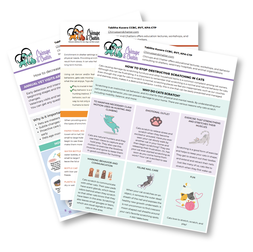 Three informational flyers about cats, including topics on decreasing destructive scratching, maintaining healthy claws, and exercises for cats, with illustrations of cats and related objects.